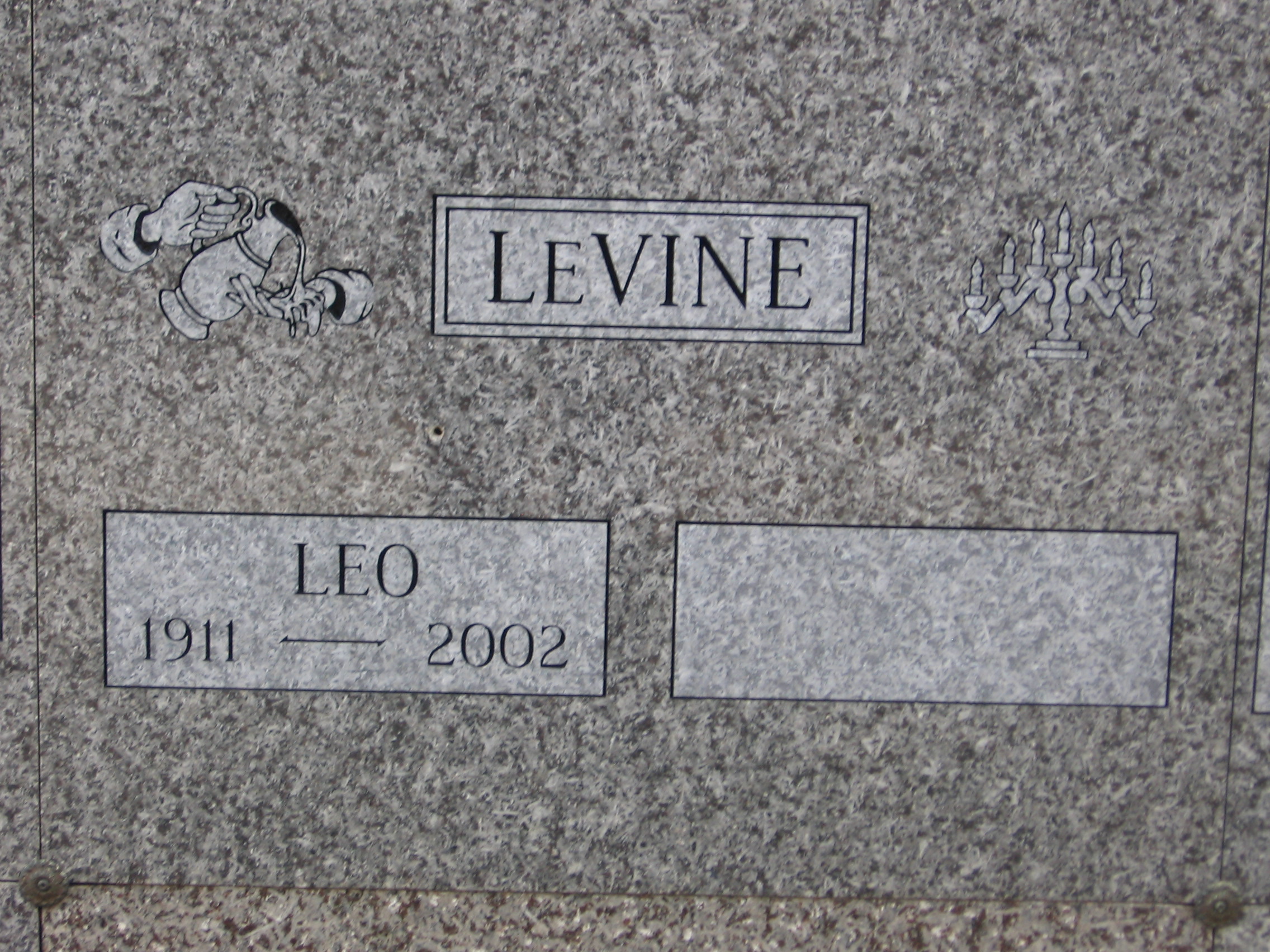 Leo LeVine