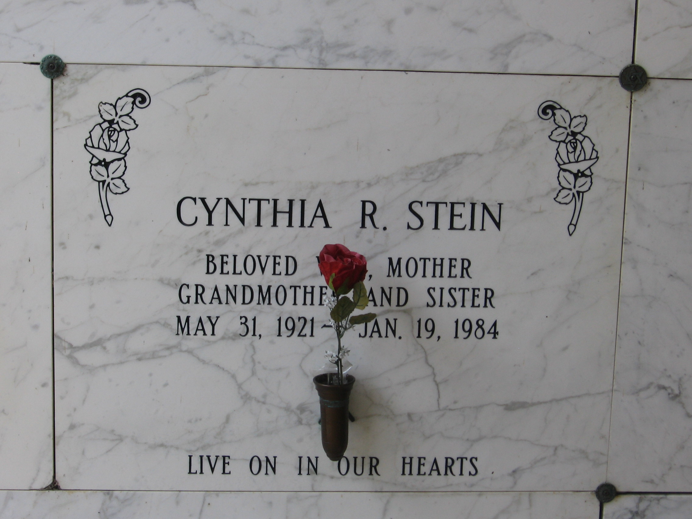 Cynthia R Stein