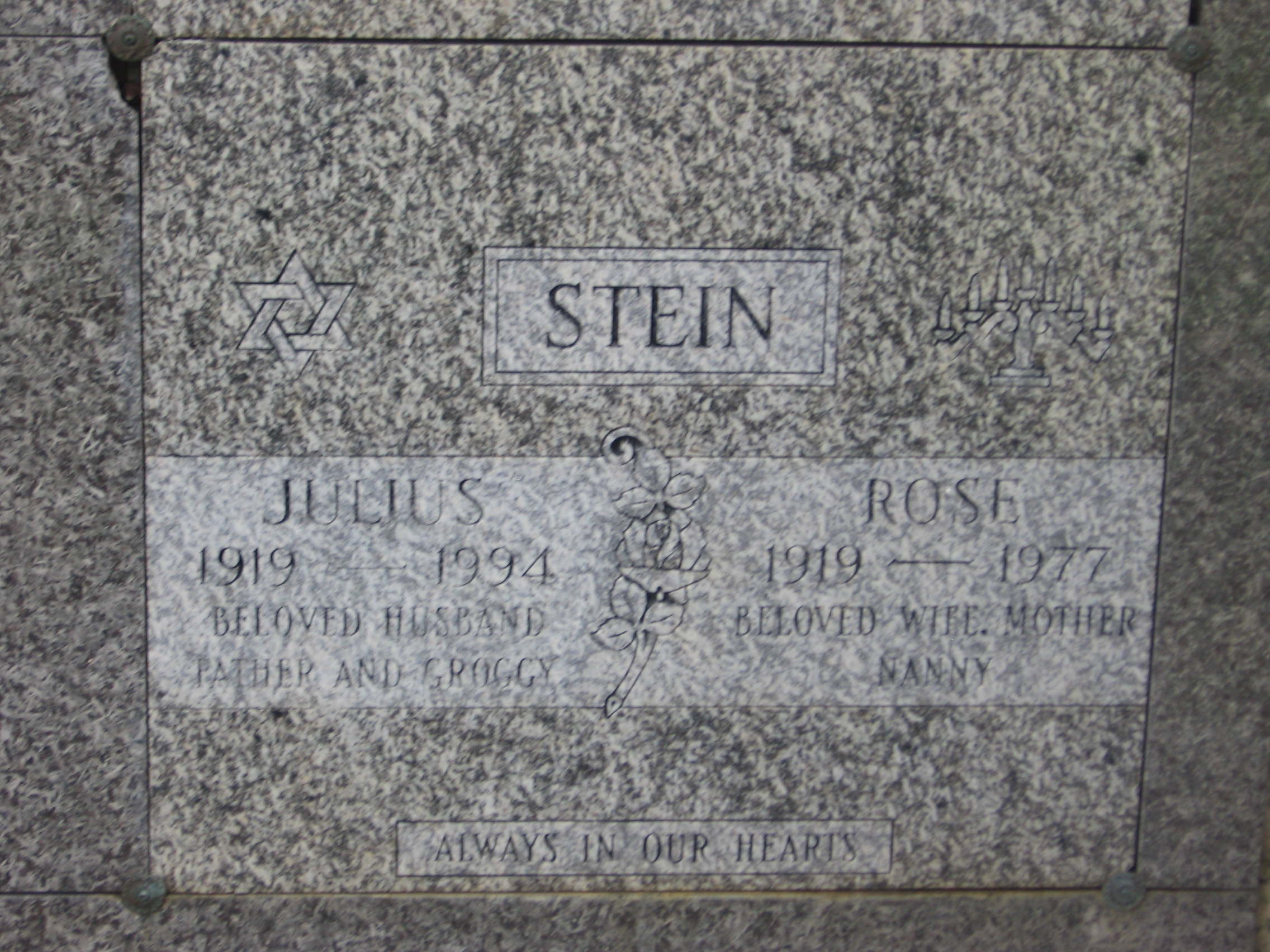 Julius Stein