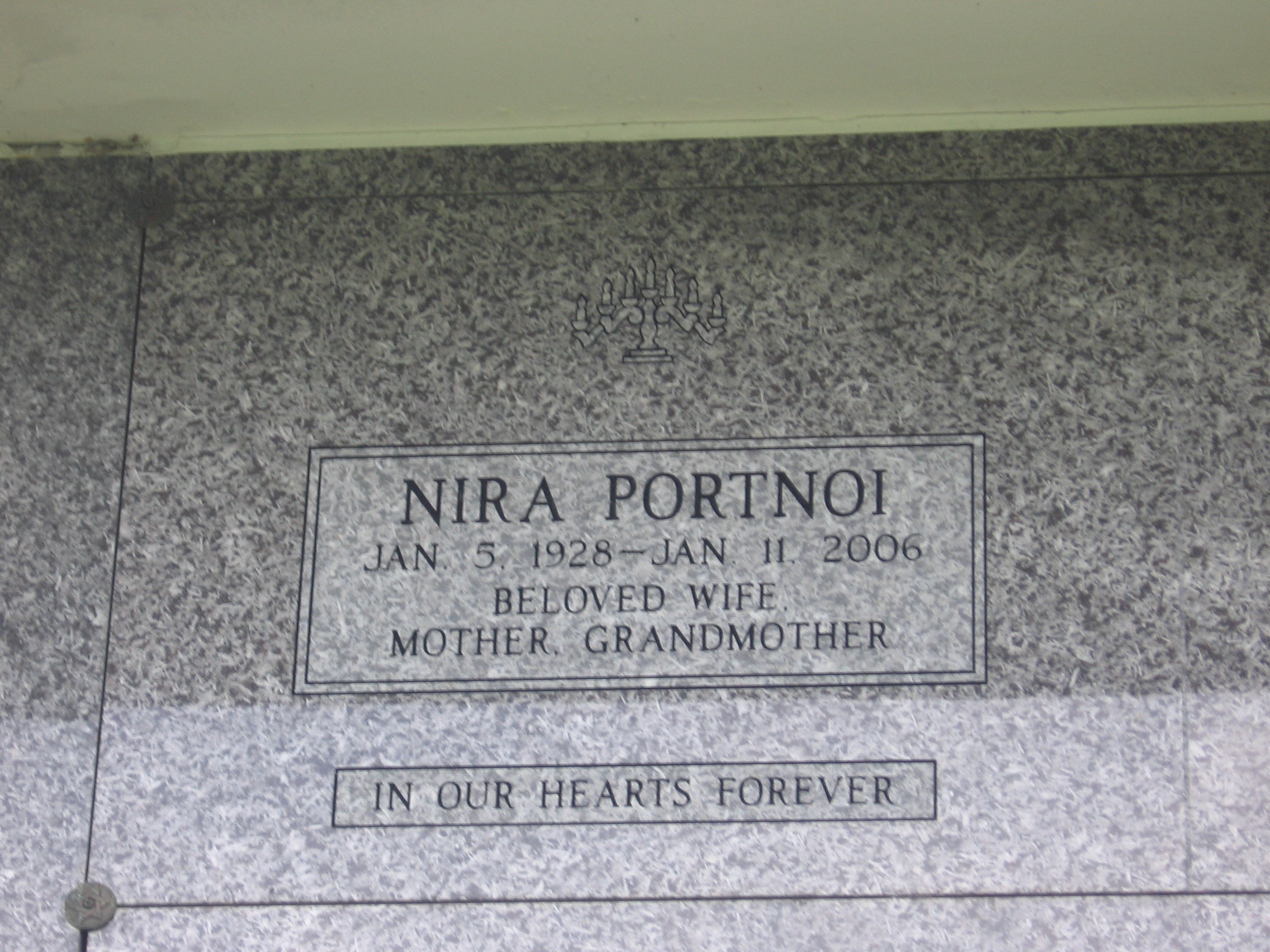 Nira Portnoi