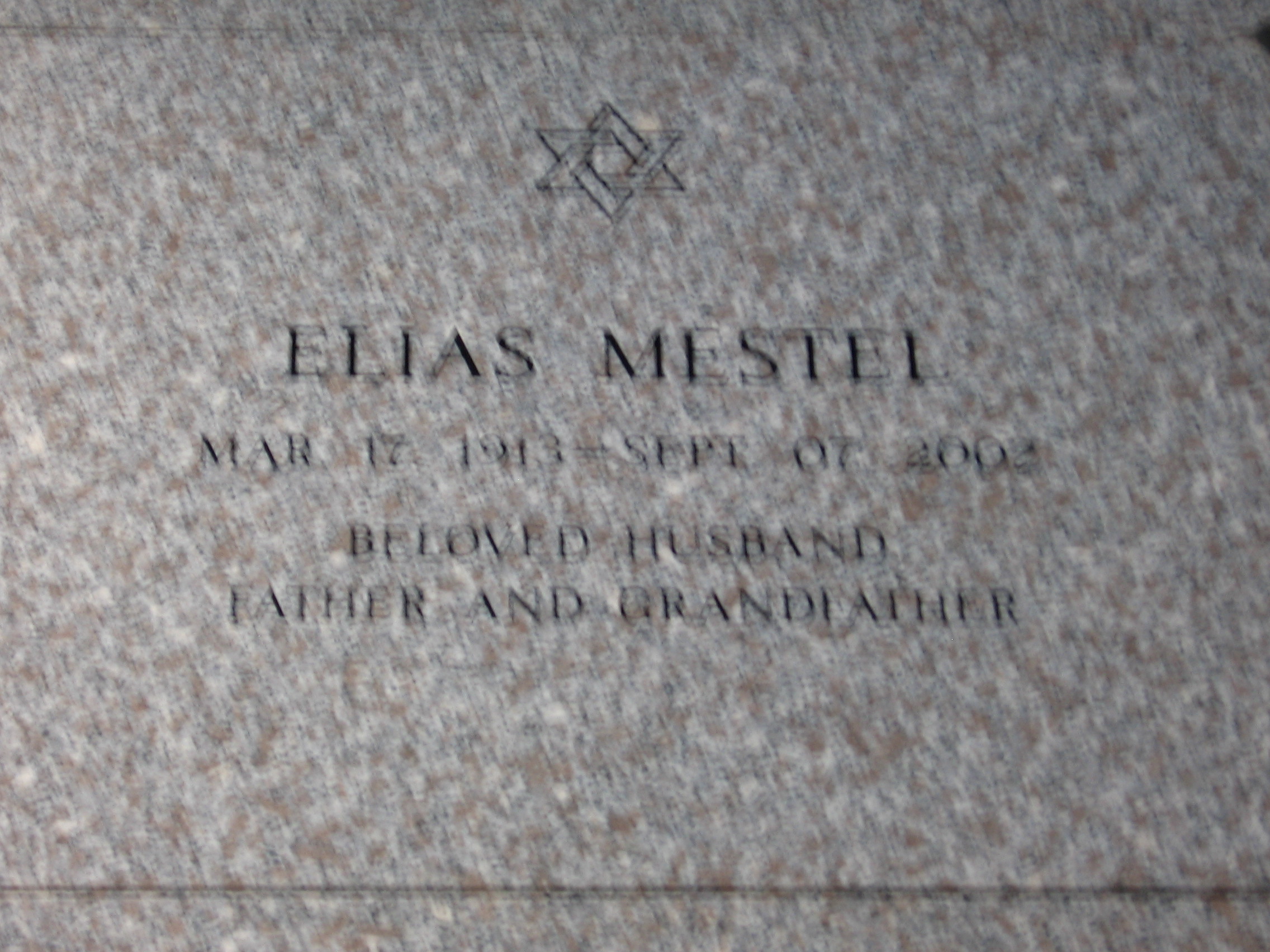 Elias Mestel