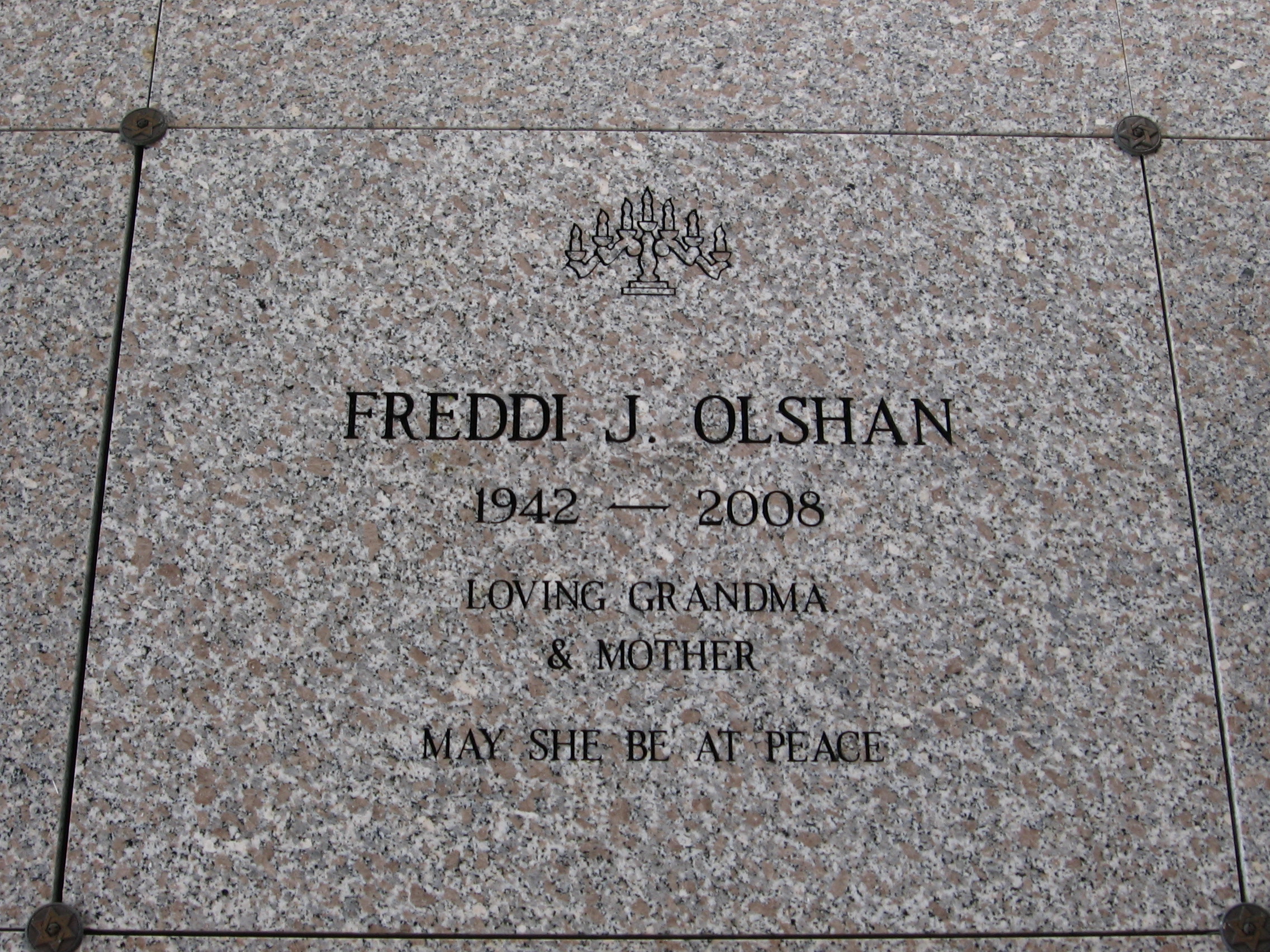 Freddi J Olshan