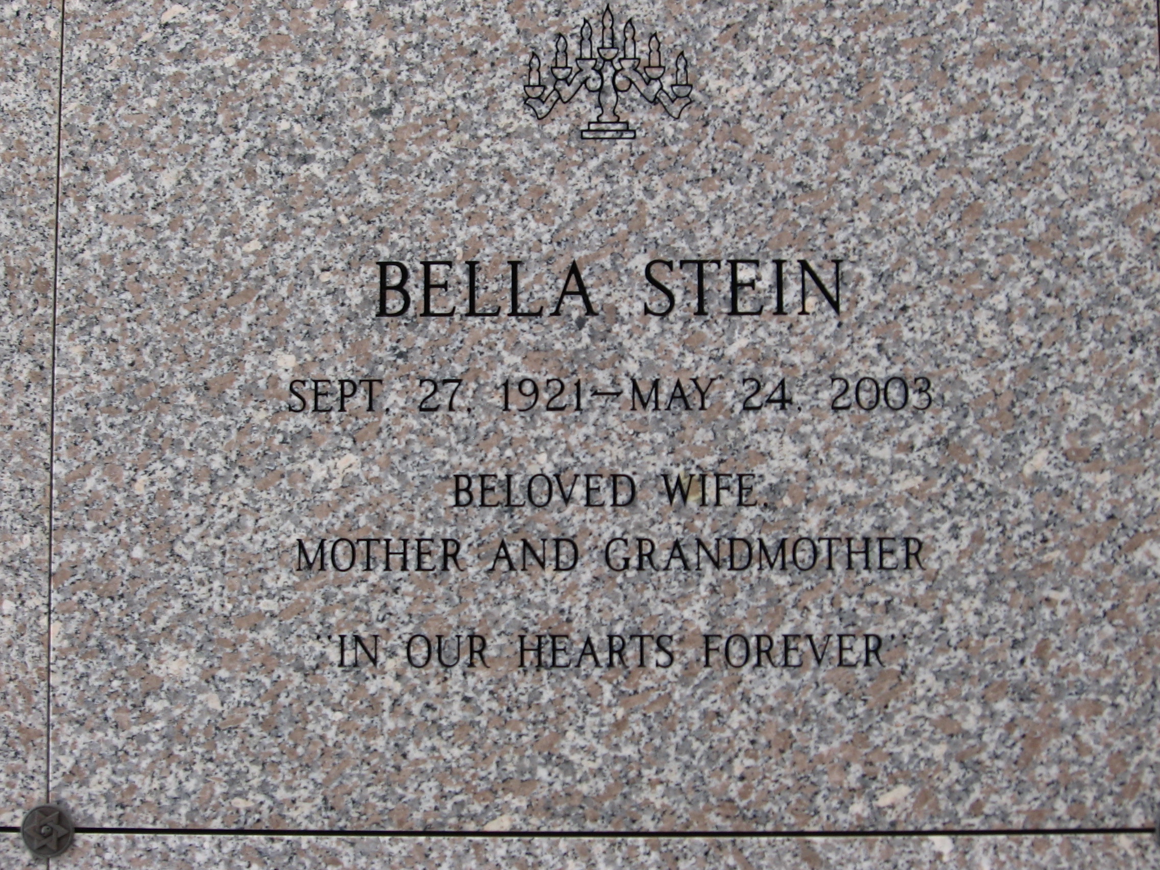 Bella Stein
