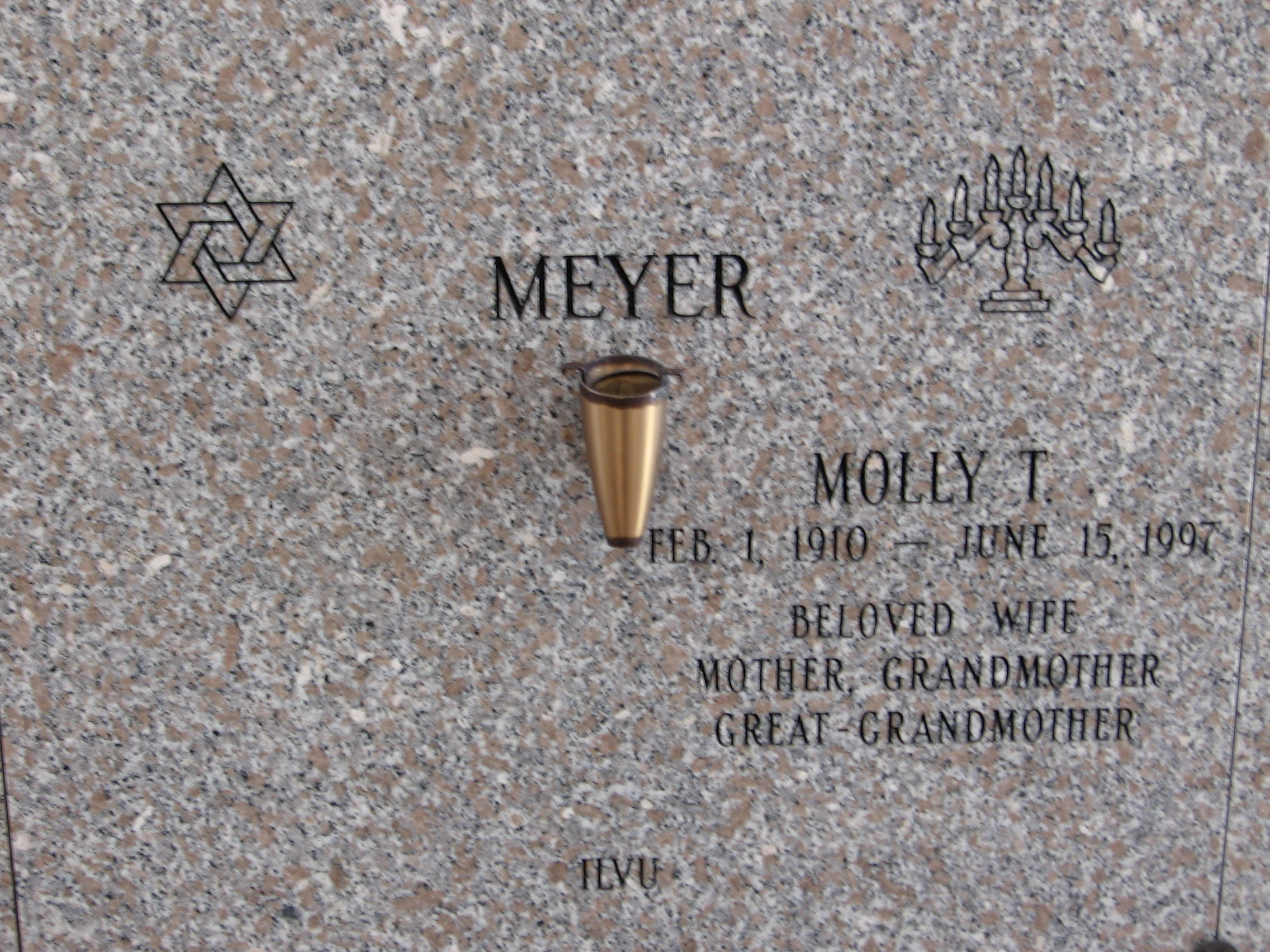 Molly T Meyer