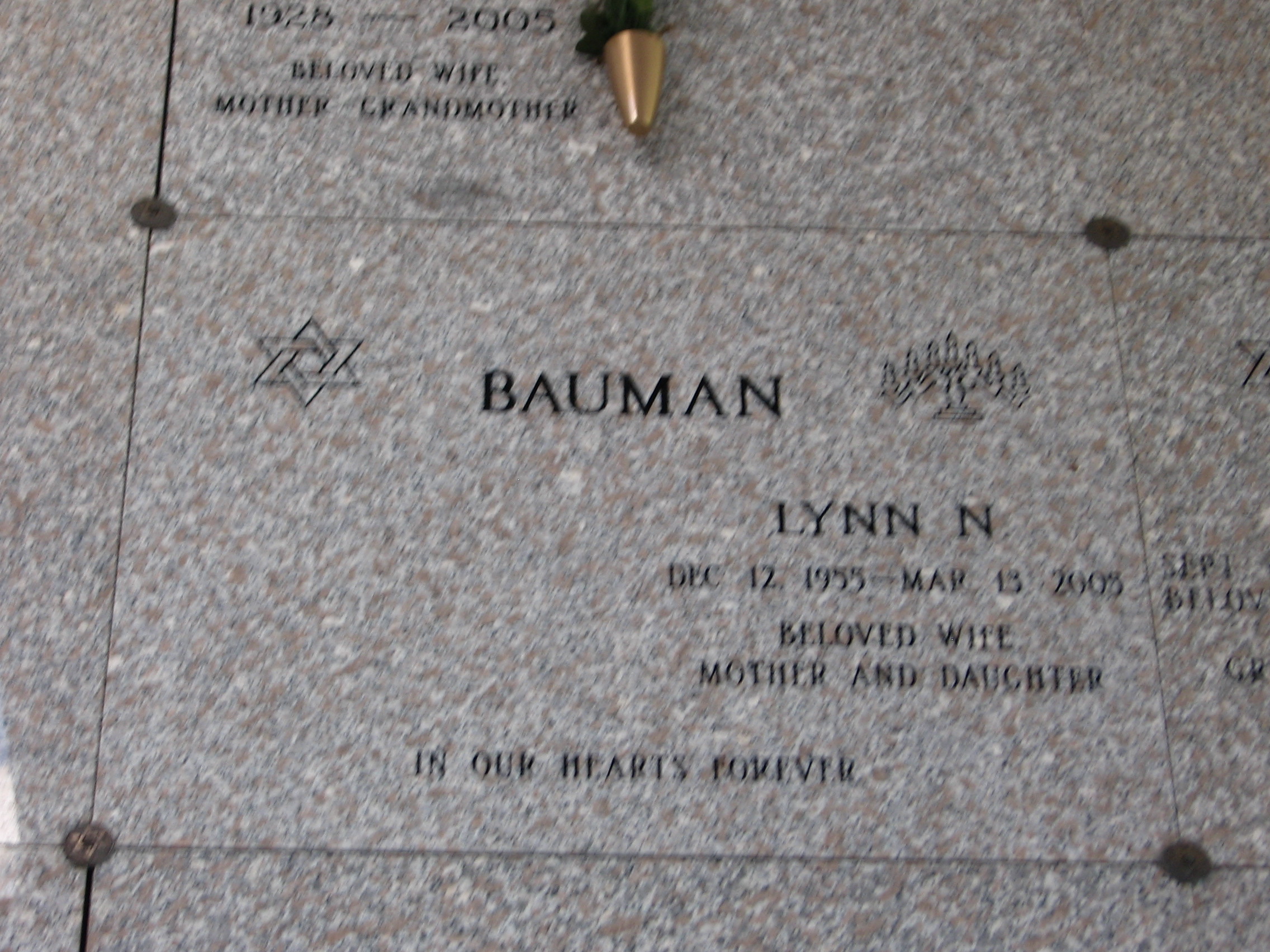 Lynn N Bauman