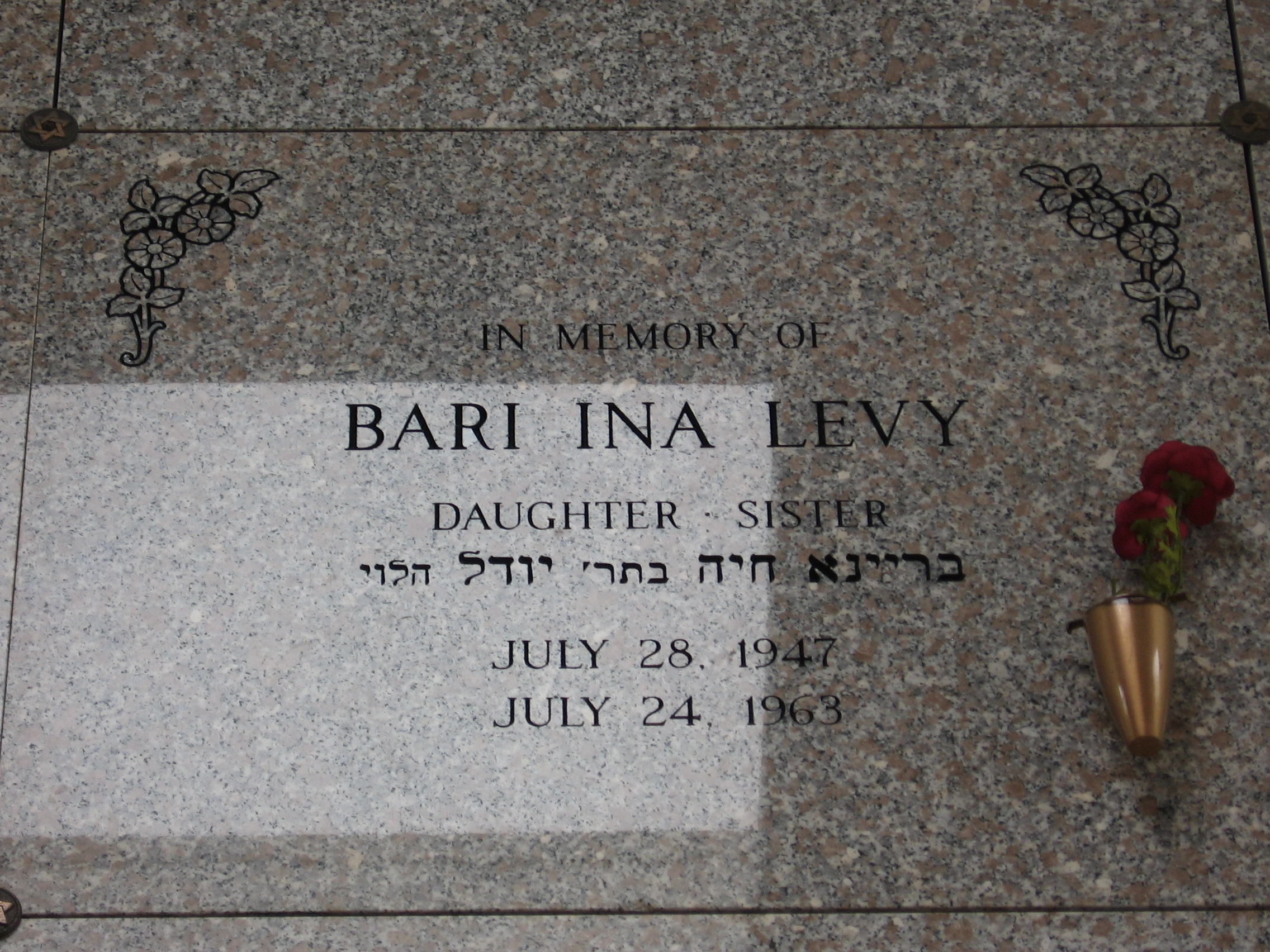 Bari Ina Levy