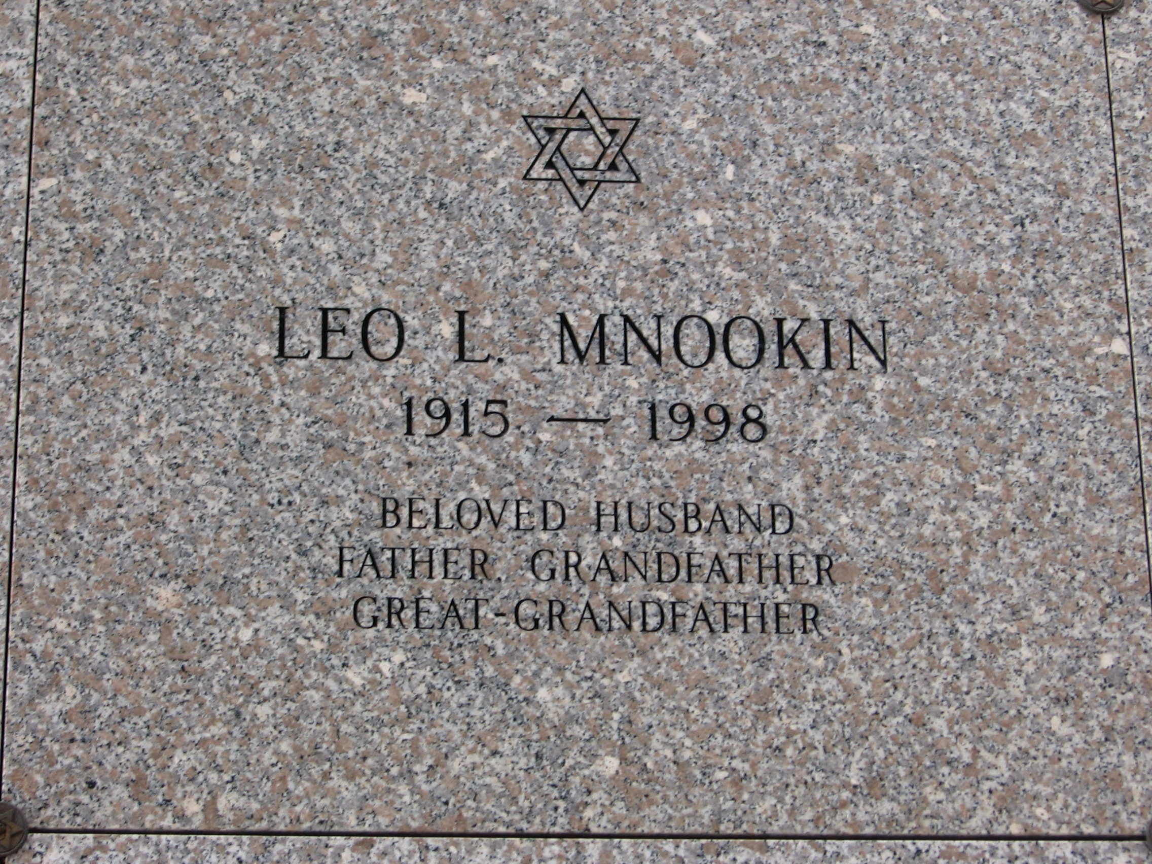Leo L Mnookin