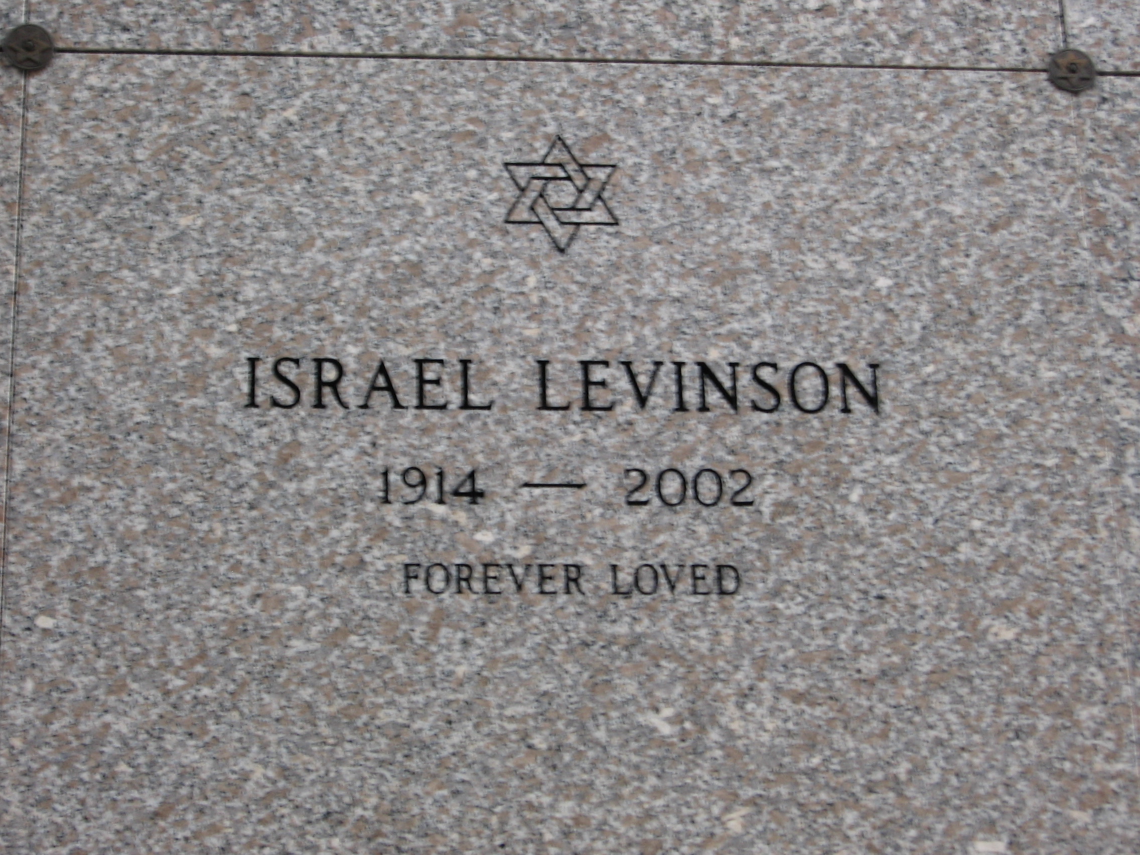Israel Levinson