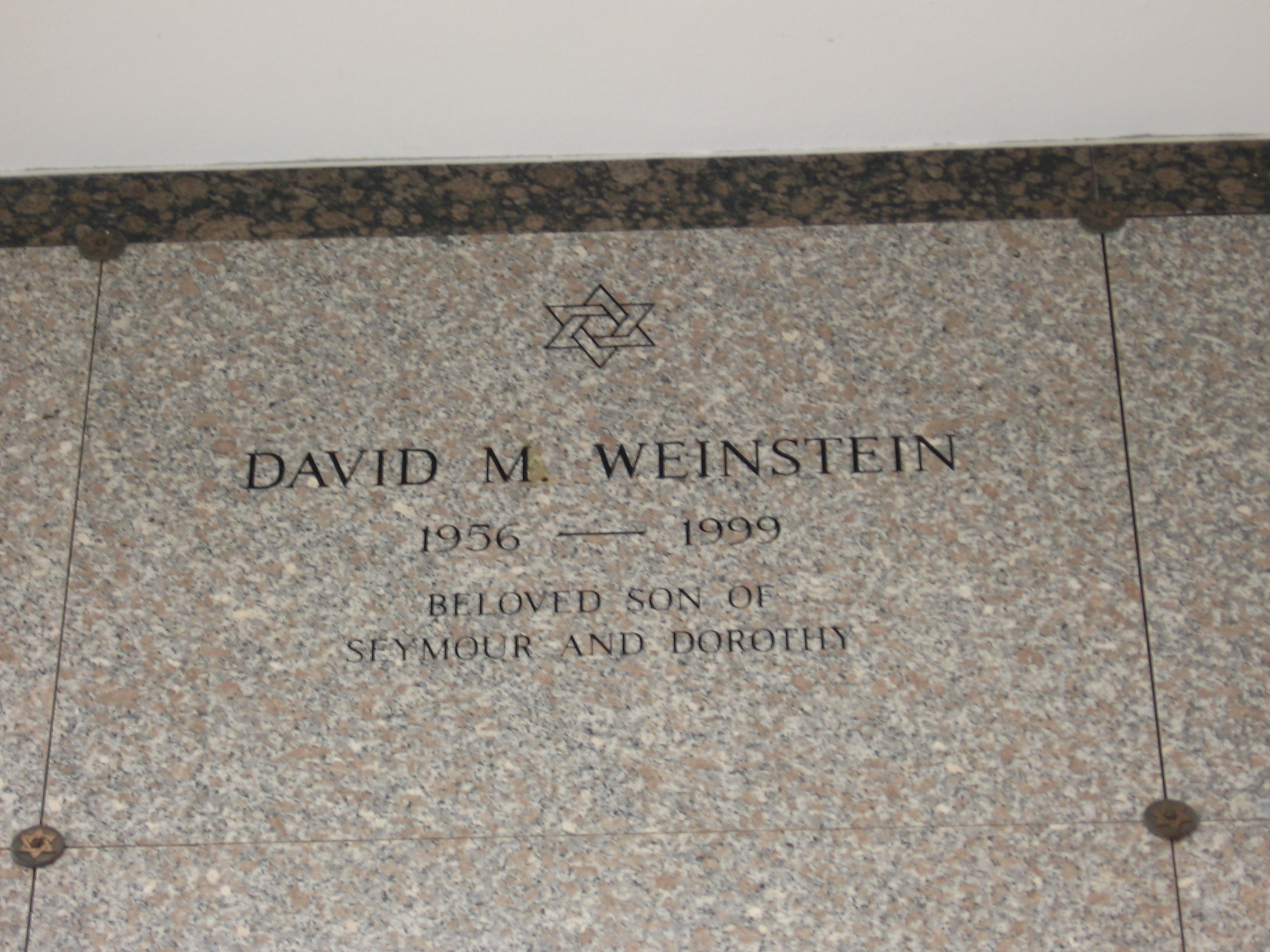 David M Weinstein