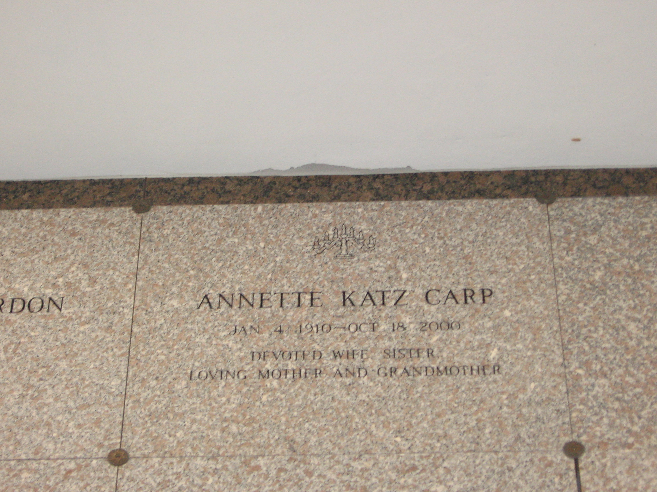 Annette Katz Carp