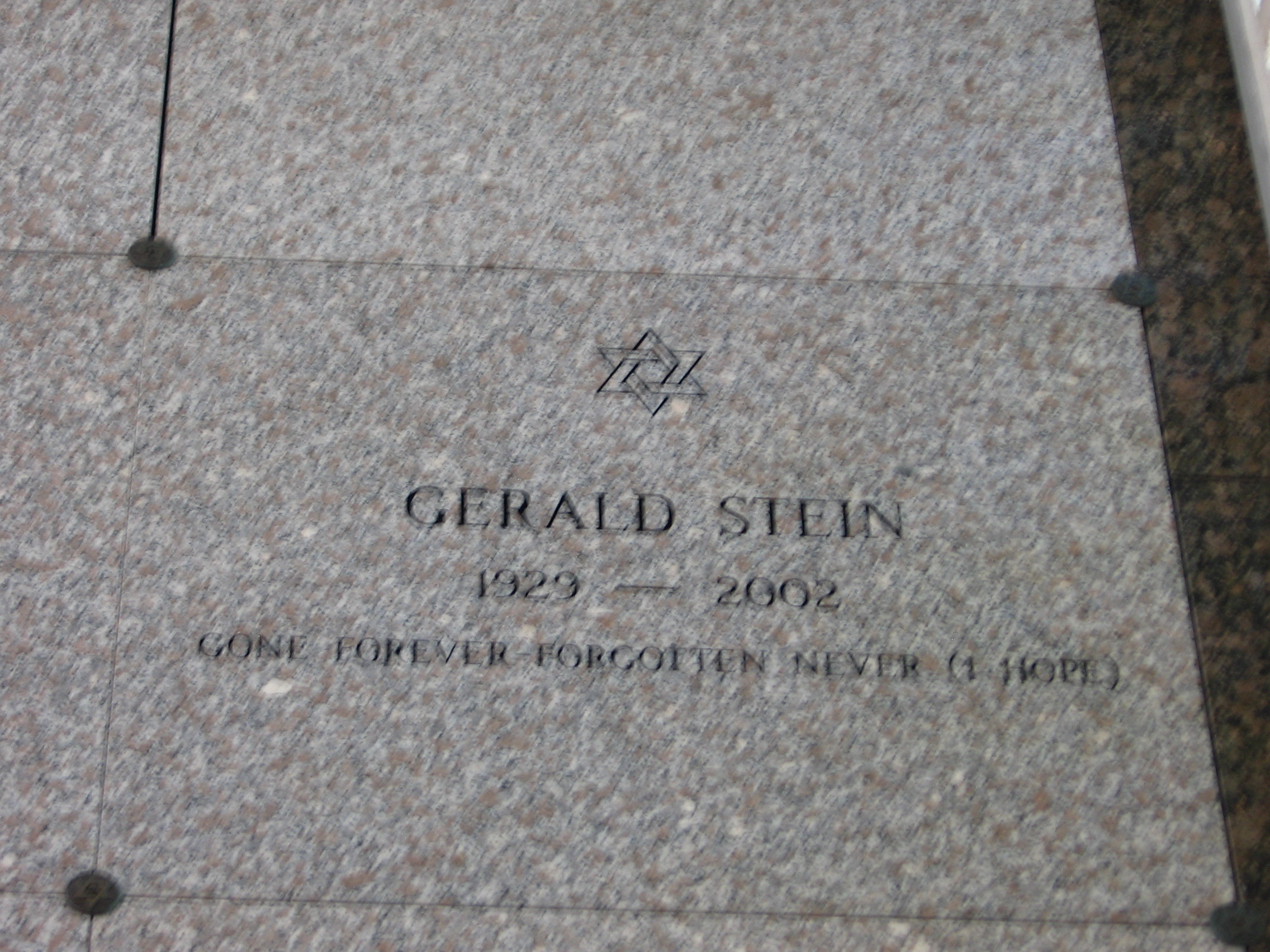 Gerald Stein