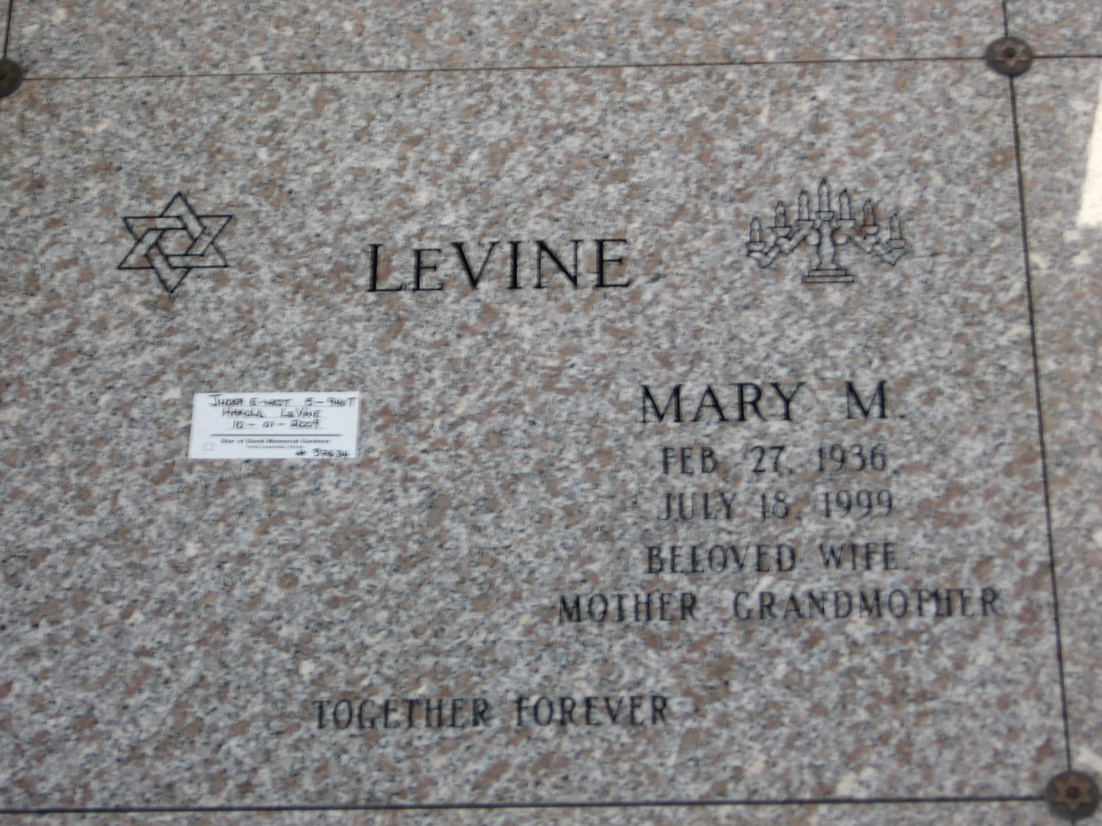 Mary M LeVine