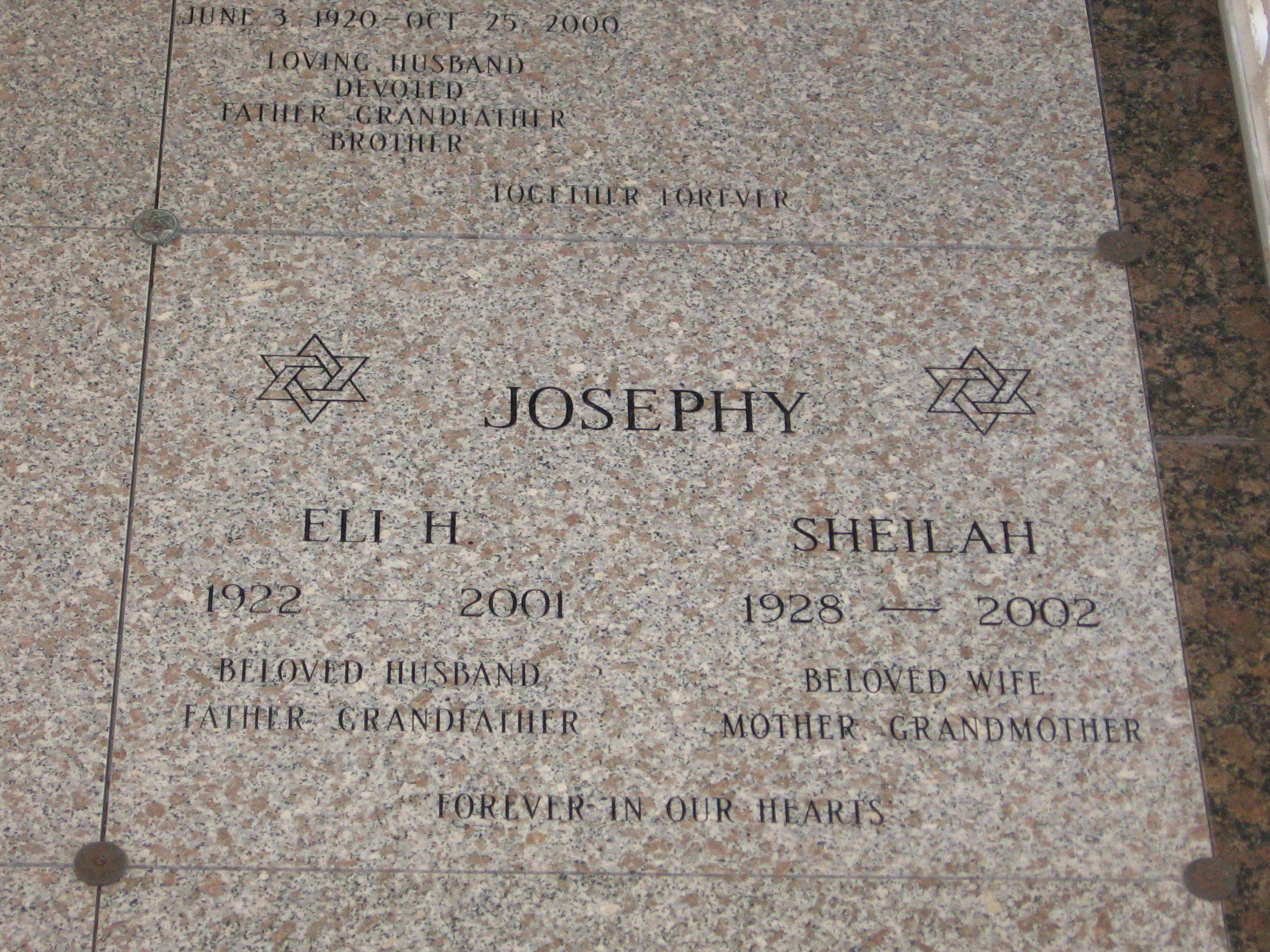 Eli H Josephy