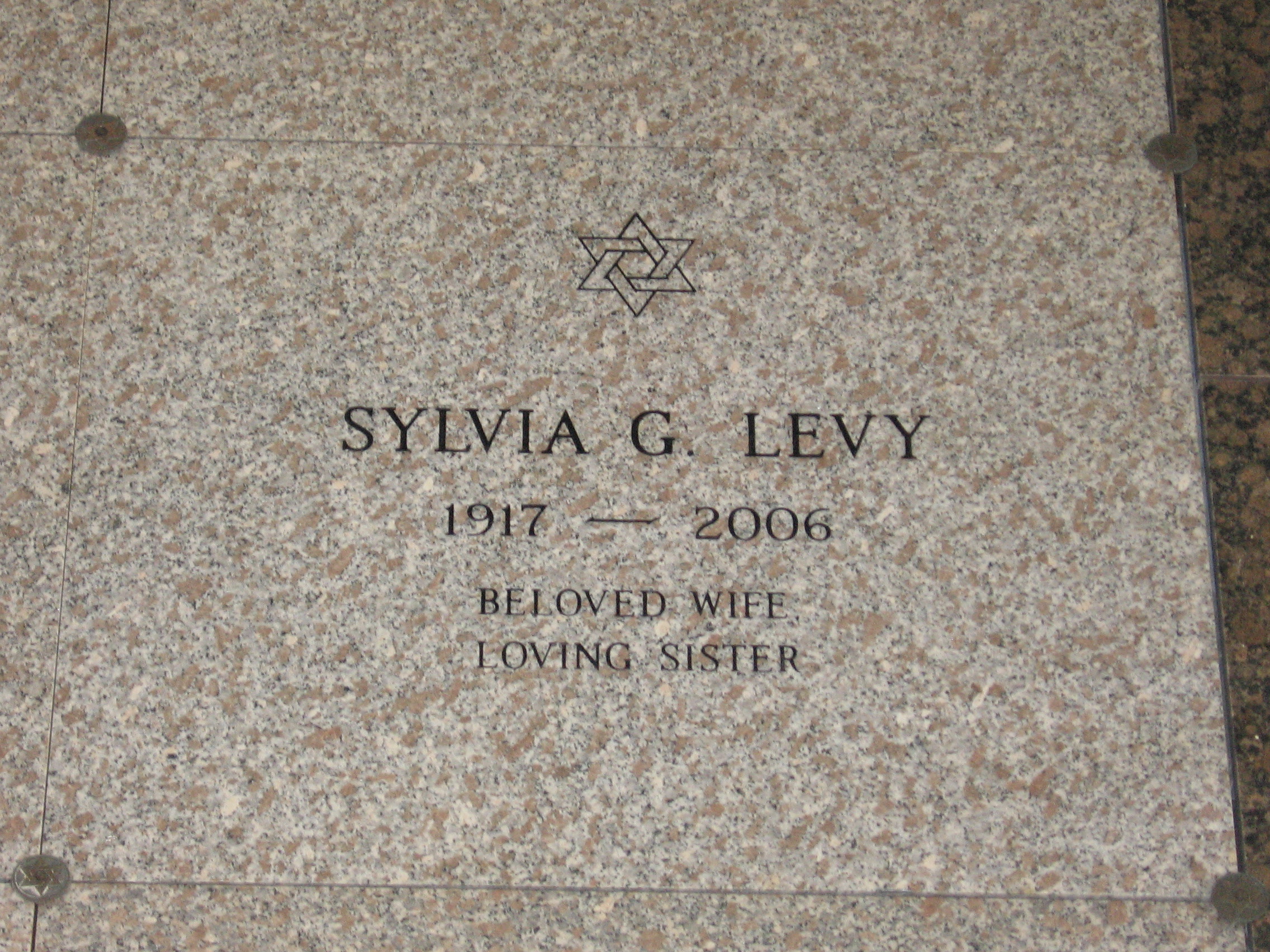 Sylvia G Levy