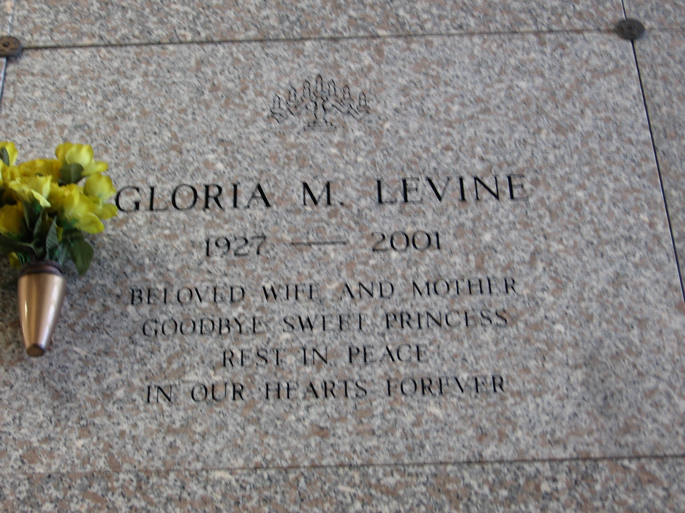 Gloria M Levine