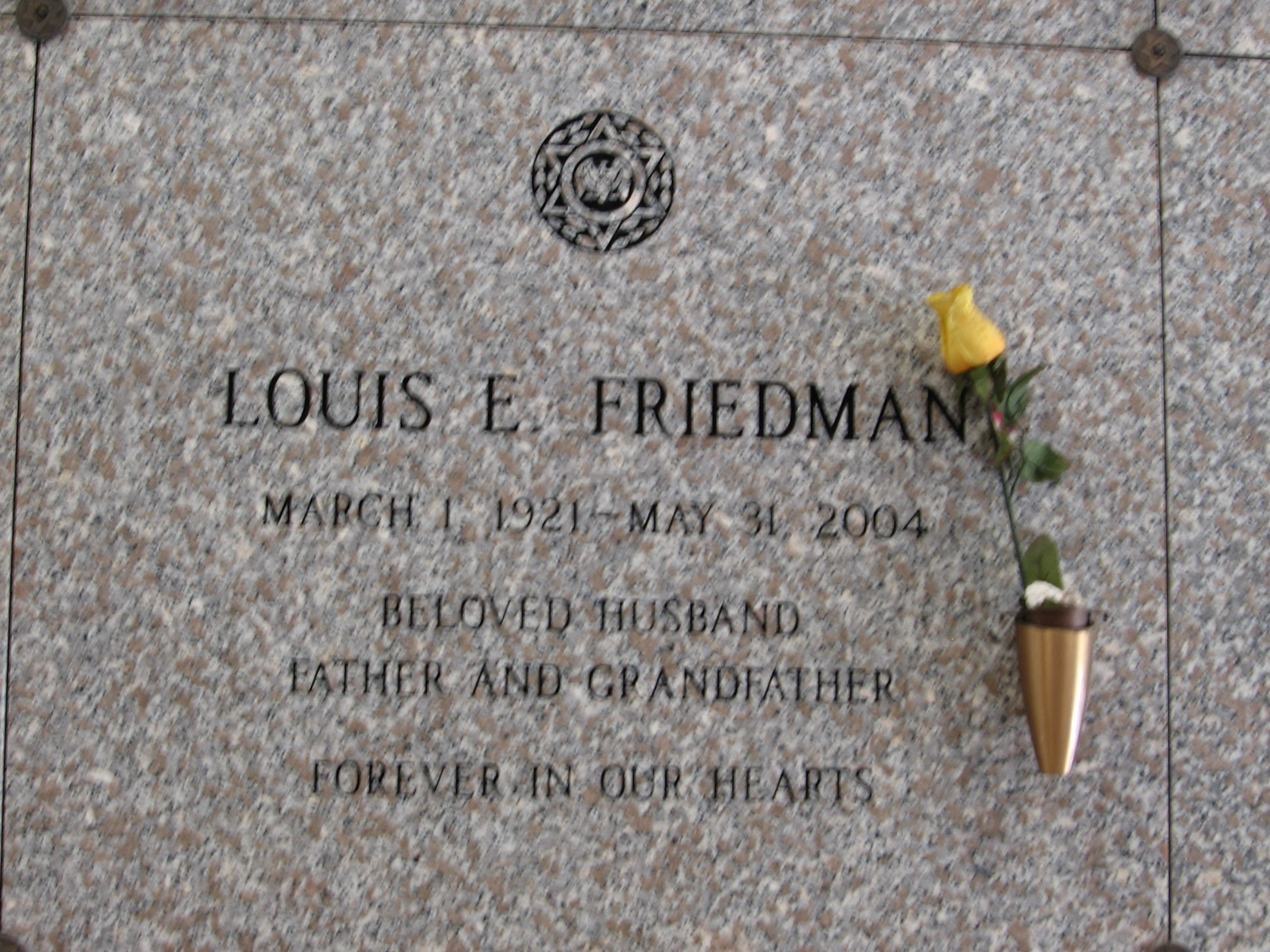 Louis E Friedman
