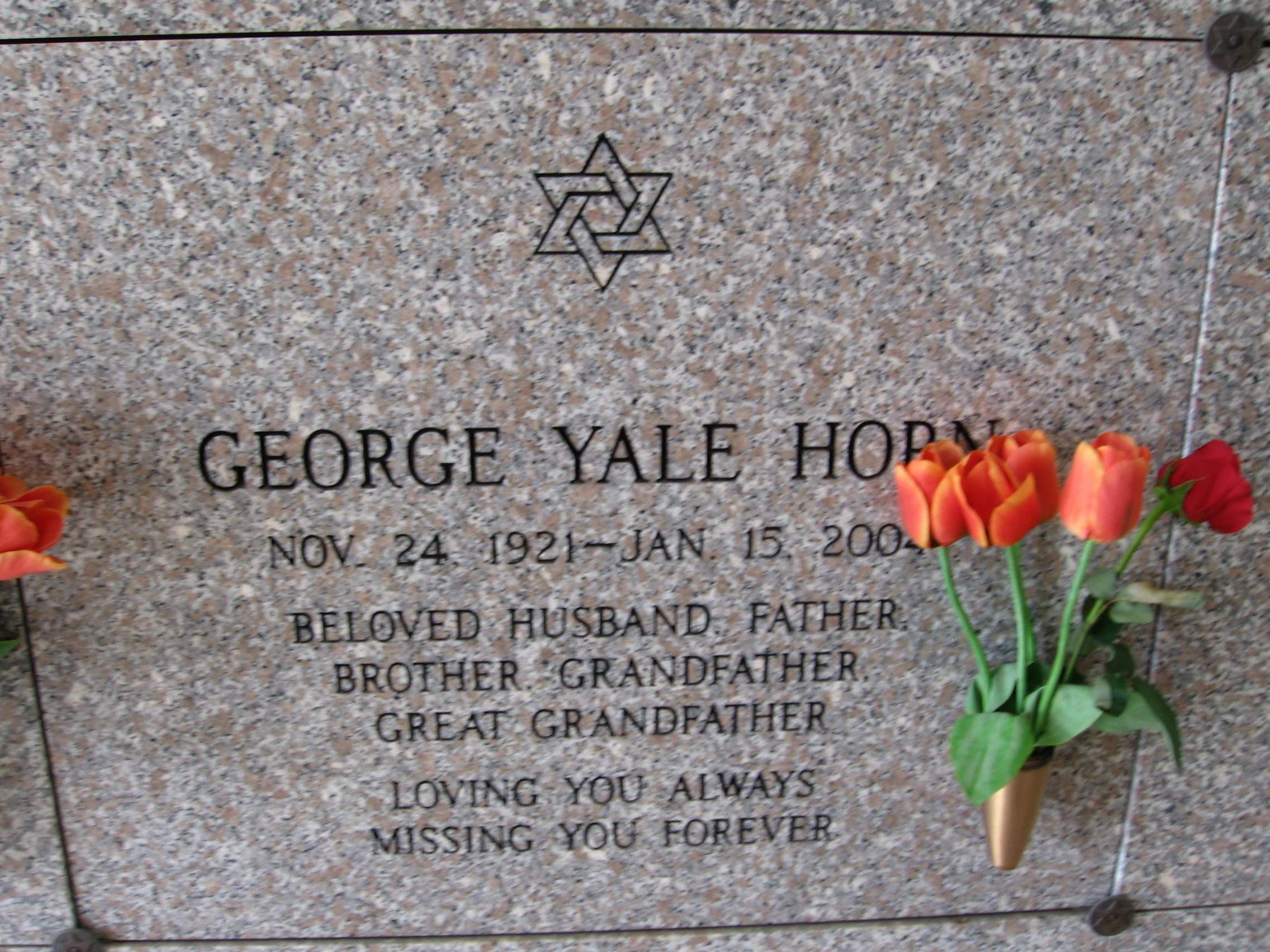 George Yale Horn