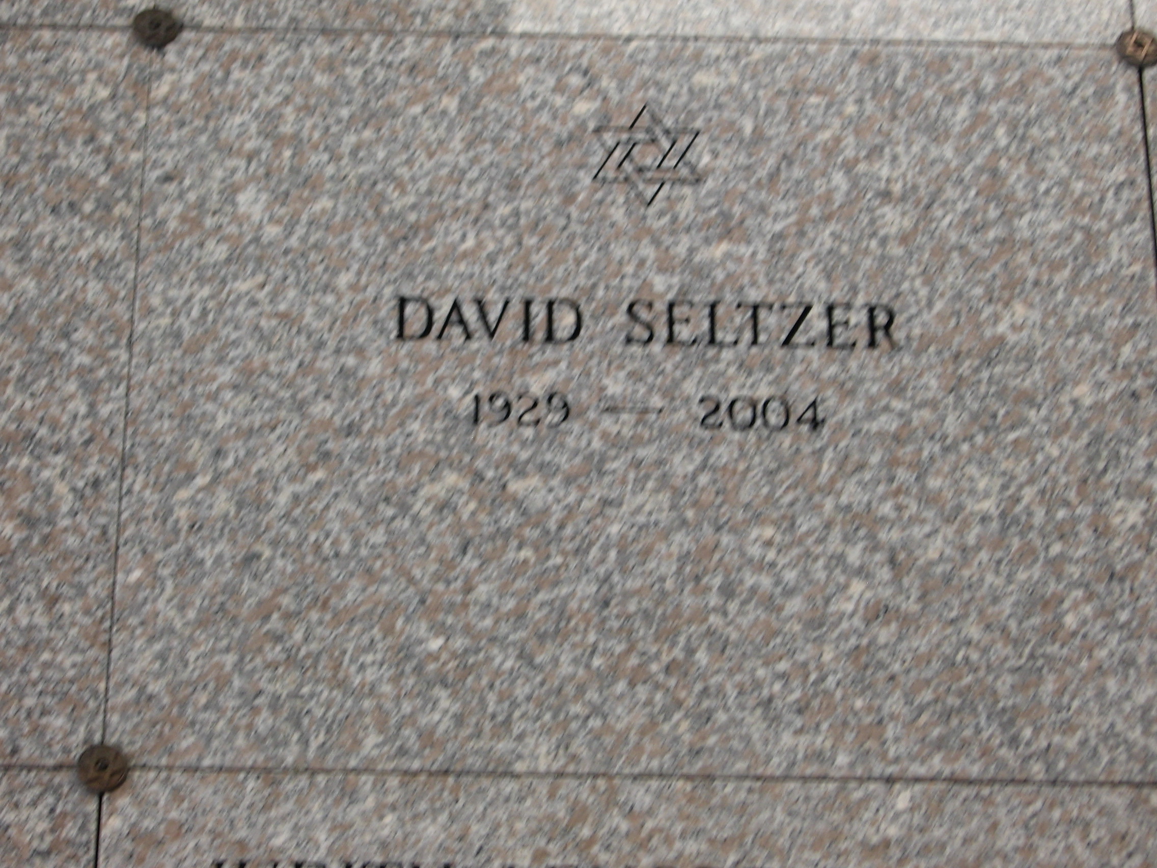 David Seltzer