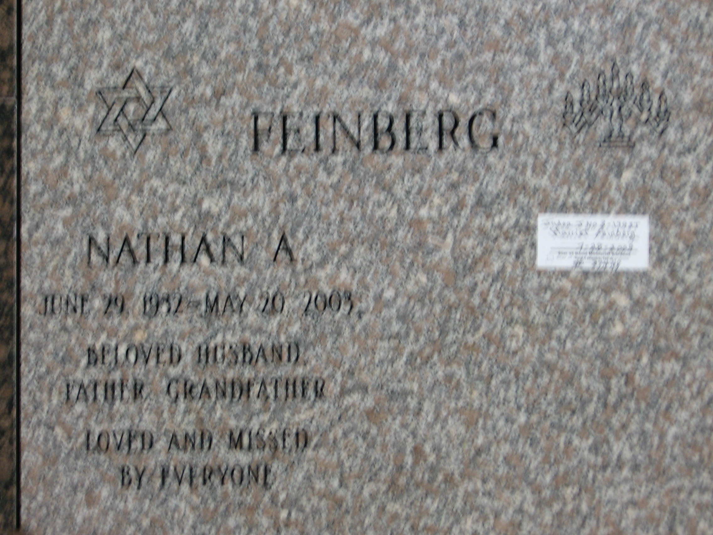 Nathan A Feinberg