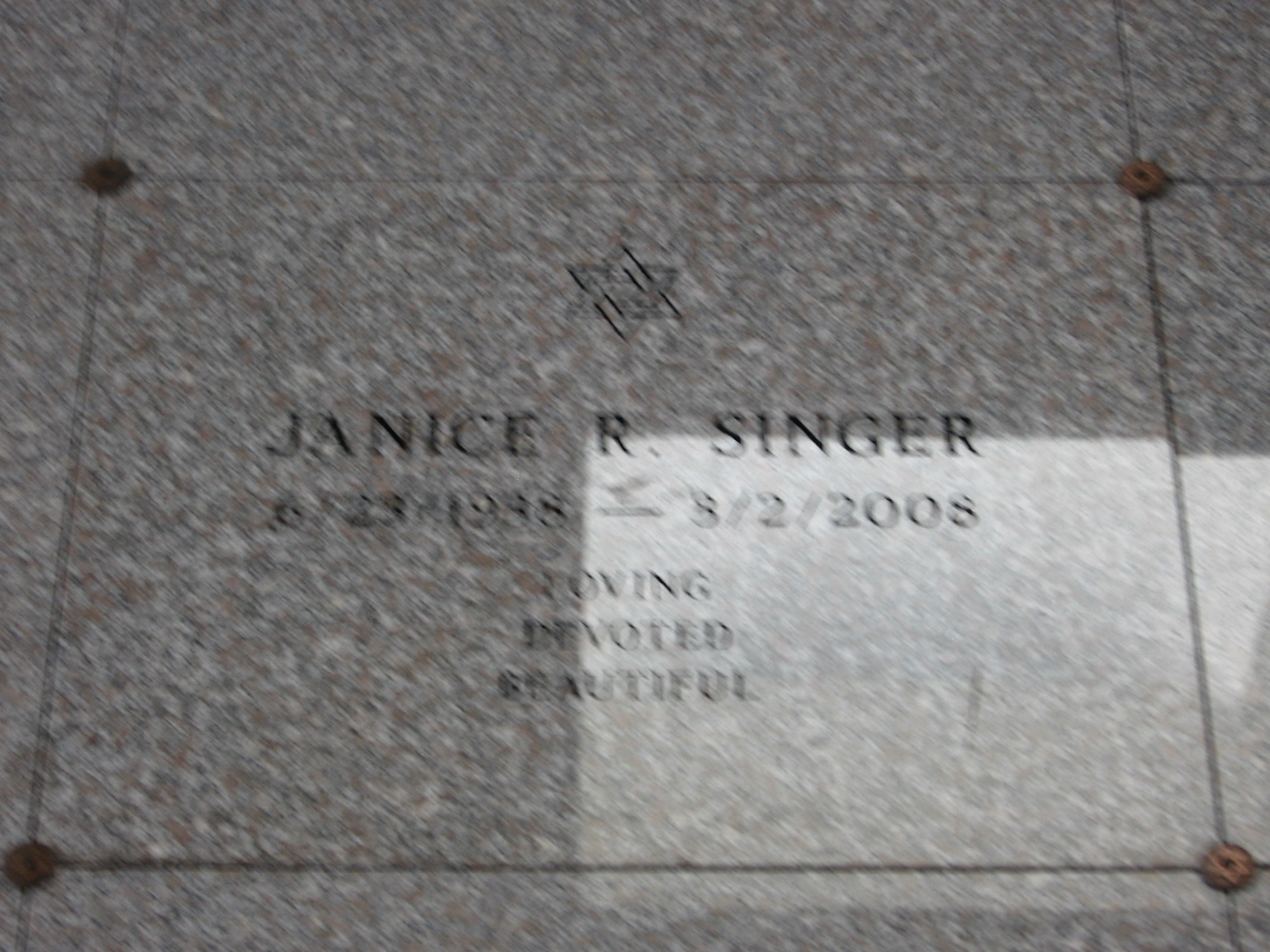Janice R Singer