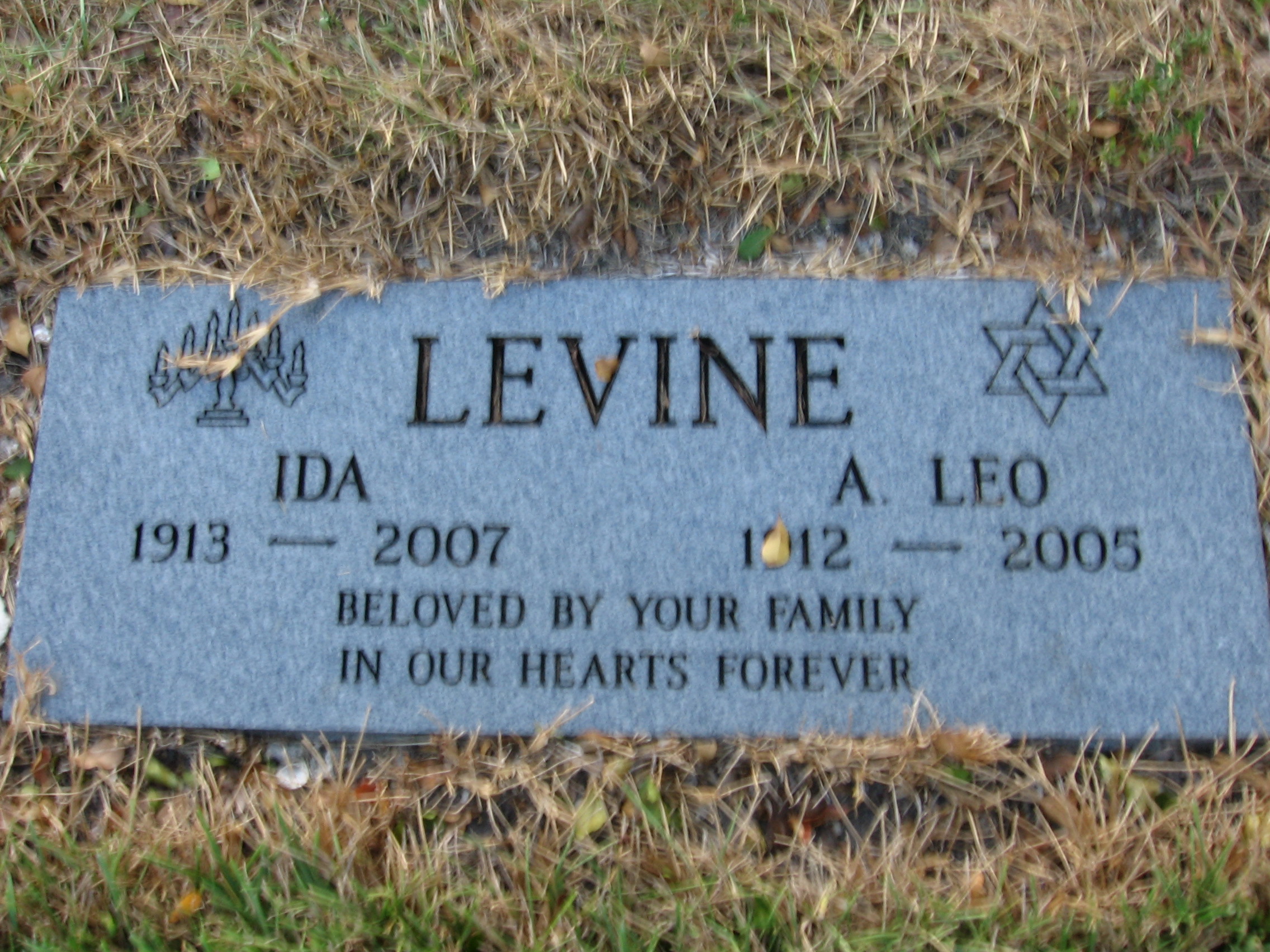 A Leo Levine