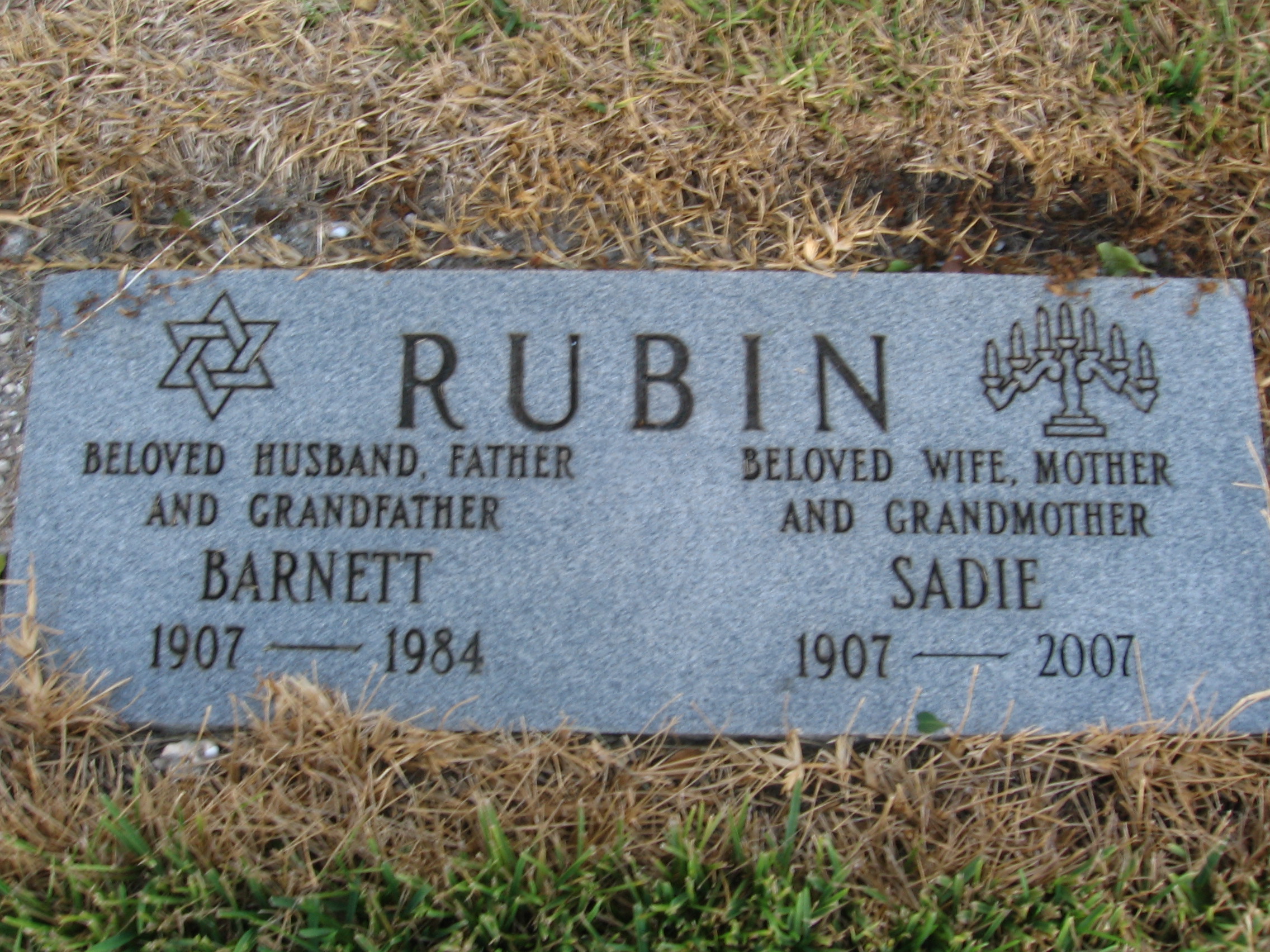 Sadie Rubin