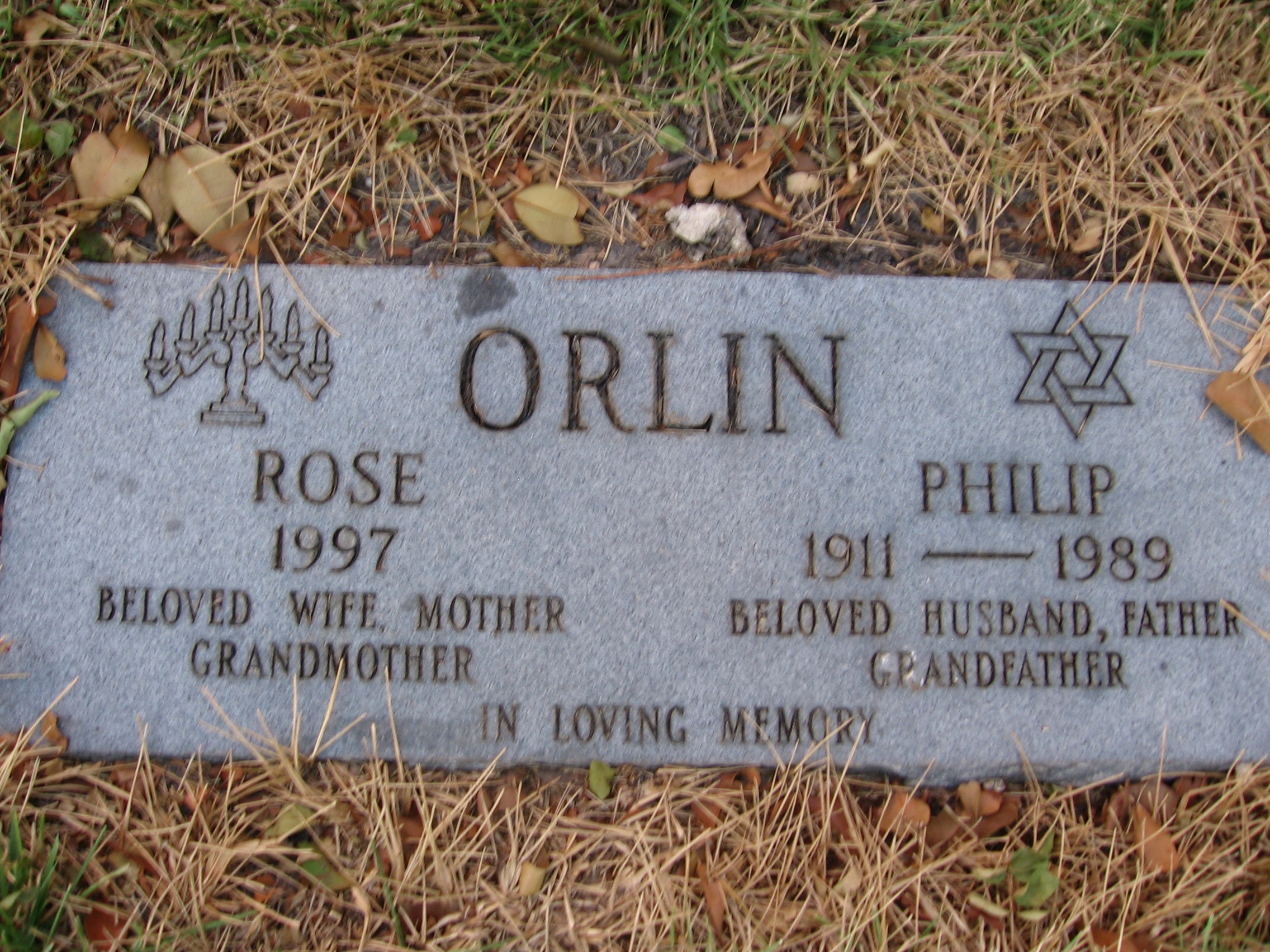 Rose Orlin