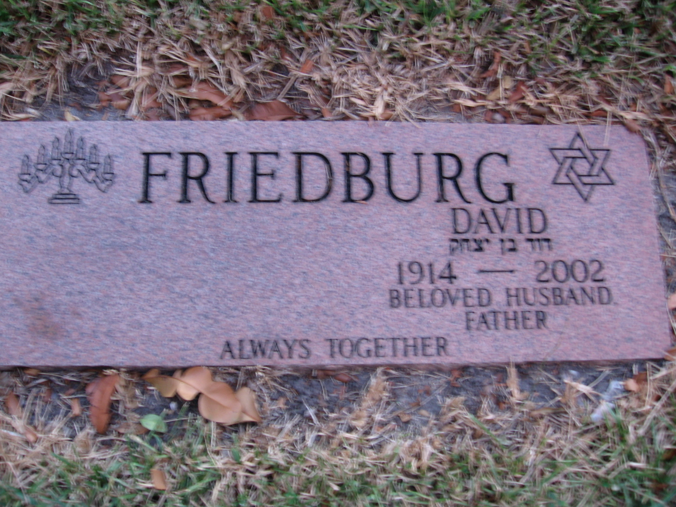 David Friedburg