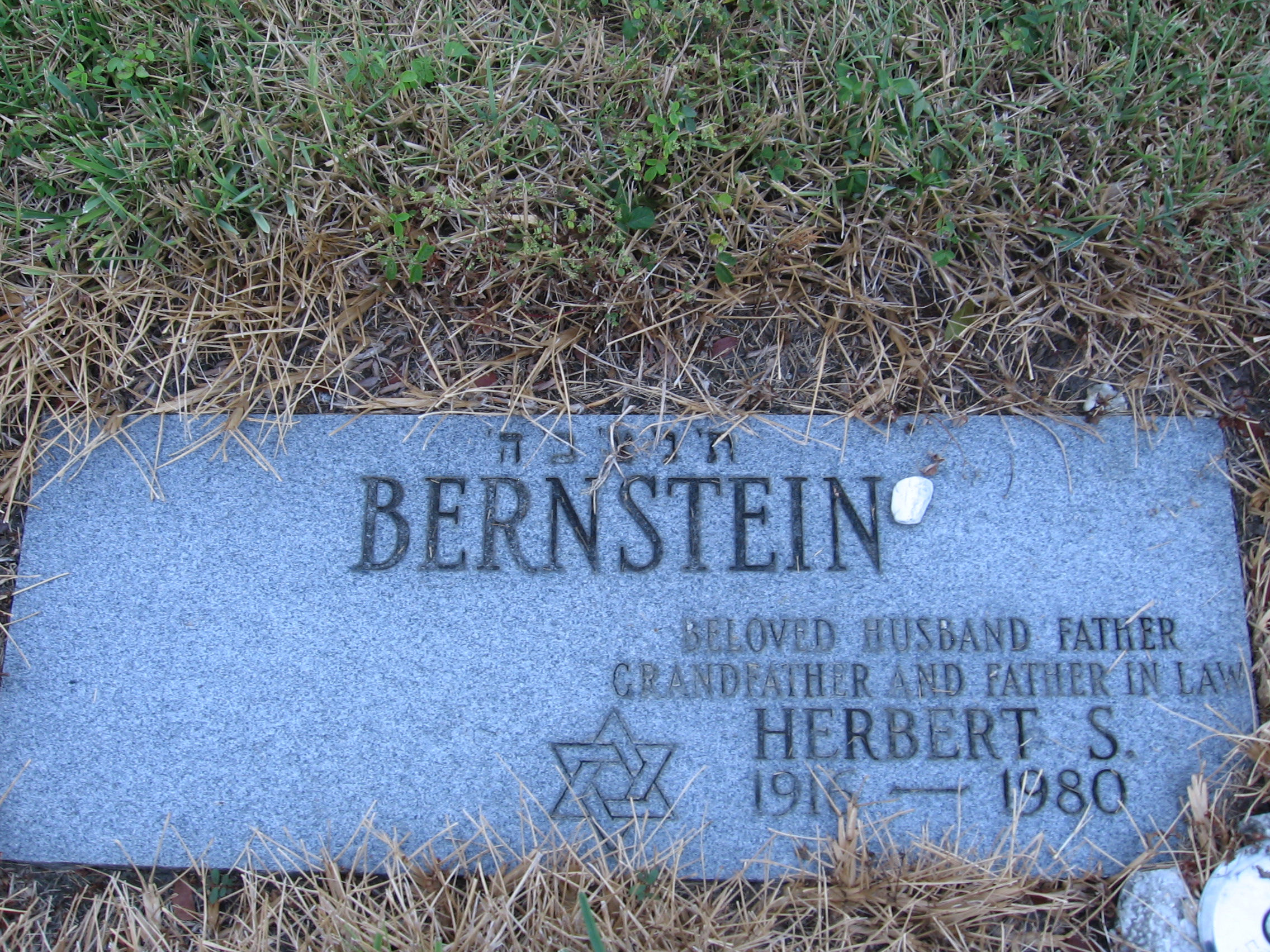 Herbert S Bernstein