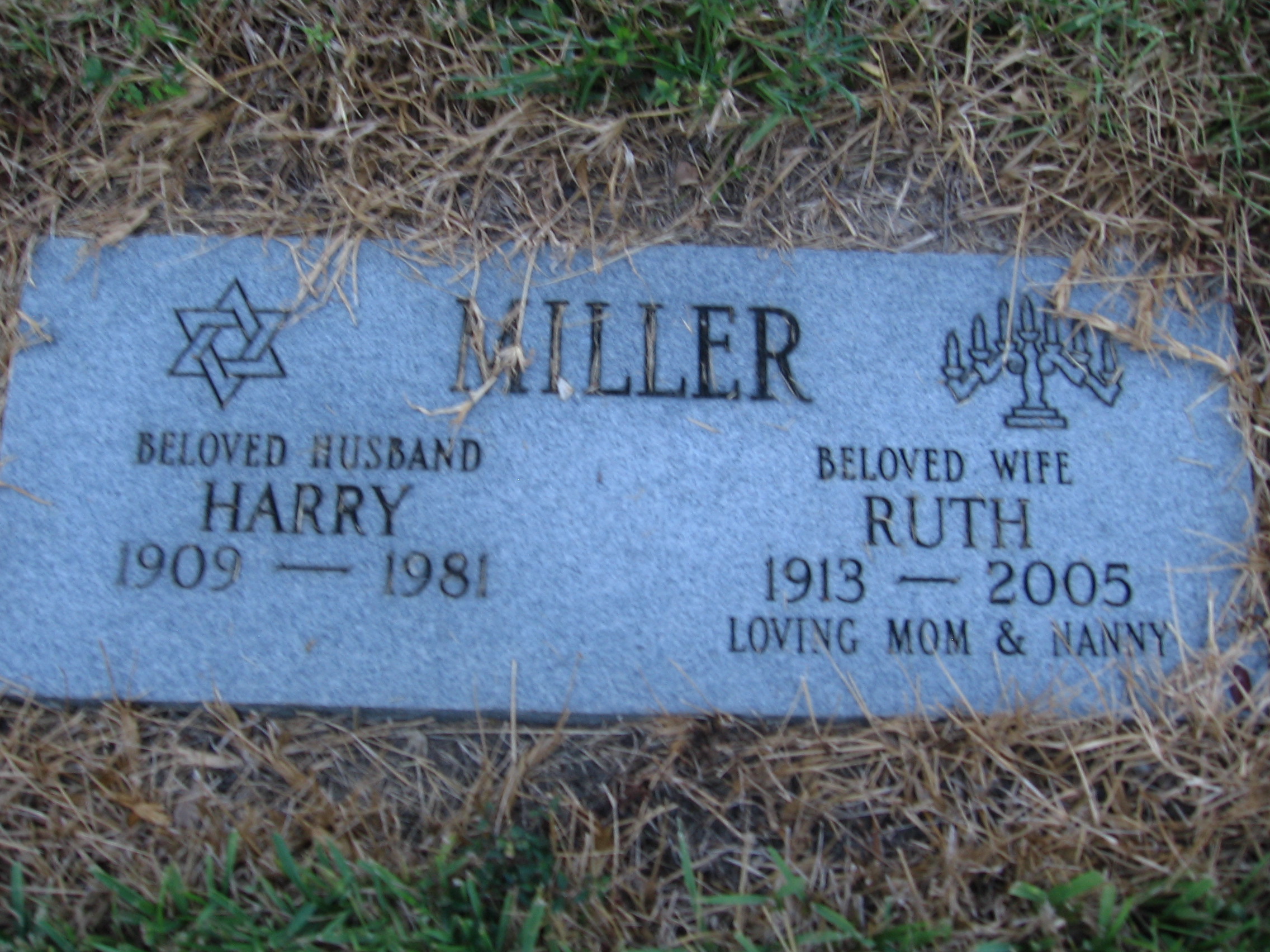 Harry Miller