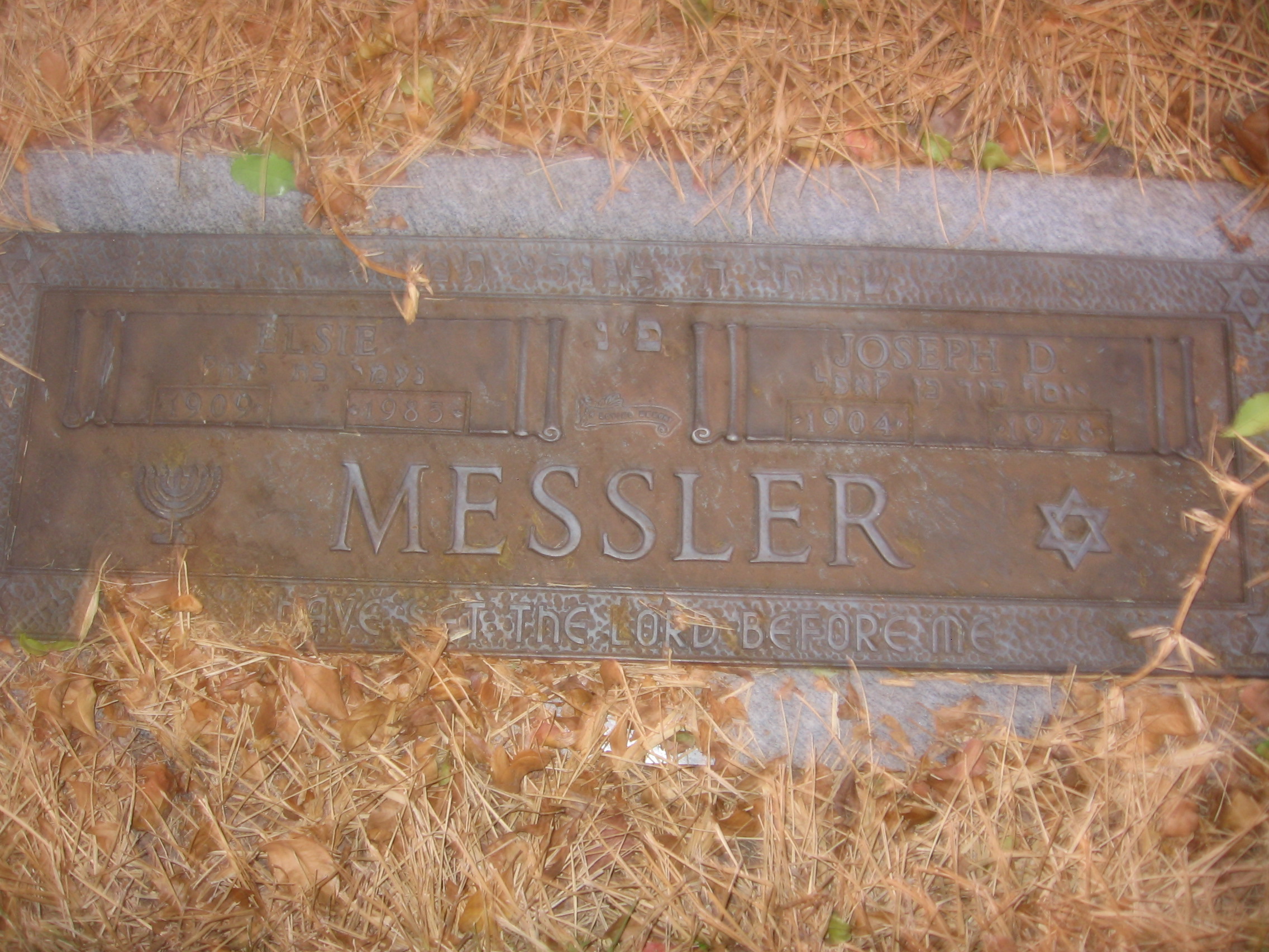 Joseph D Messler