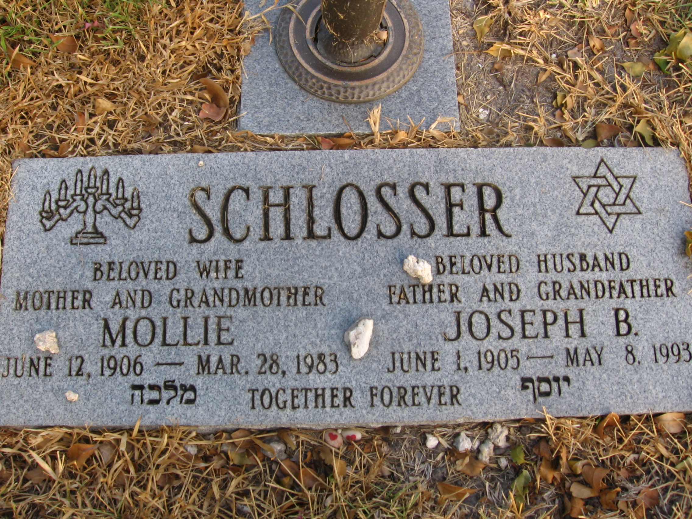 Joseph B Schlosser
