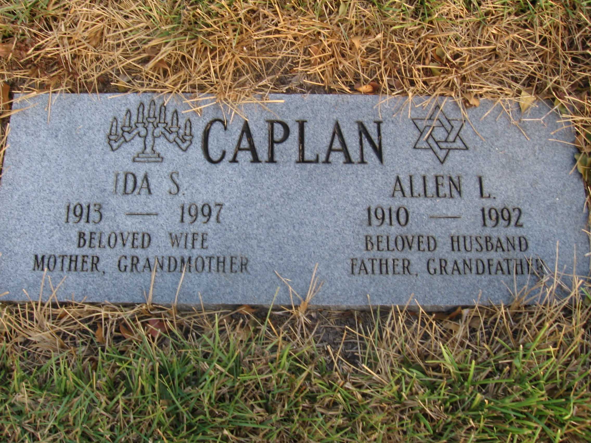 Allen L Caplan