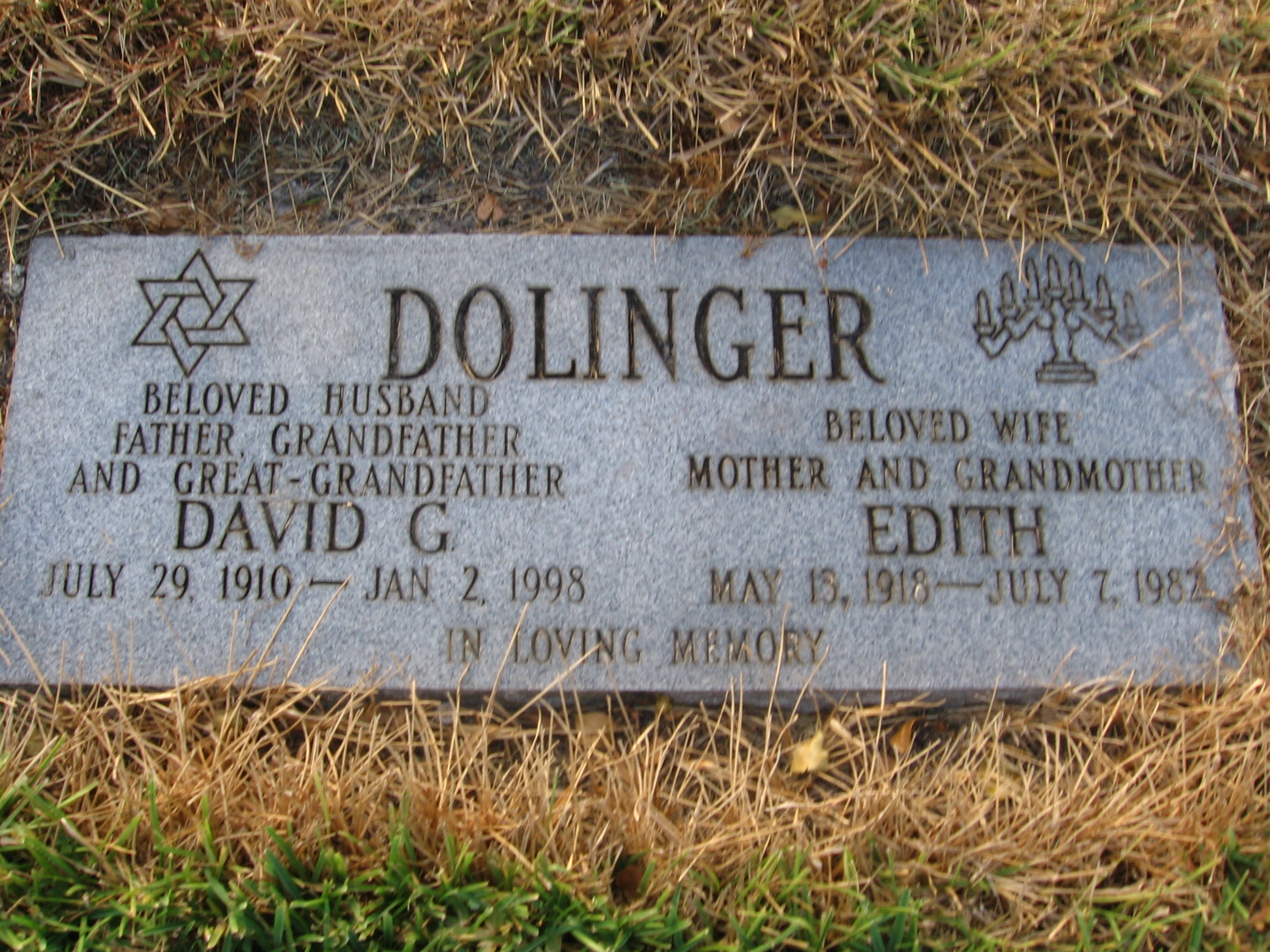 David G Dolinger