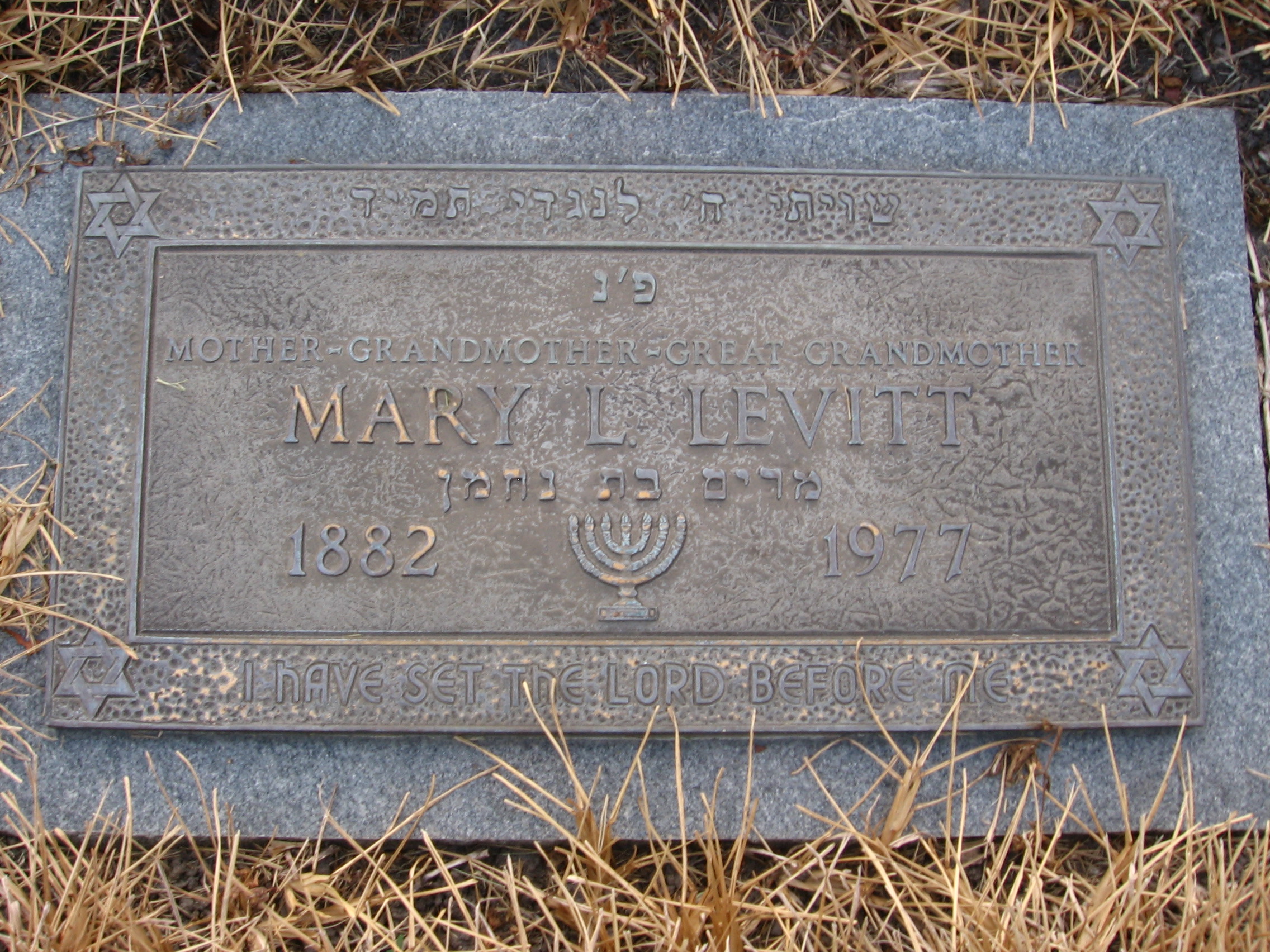 Mary L Levitt