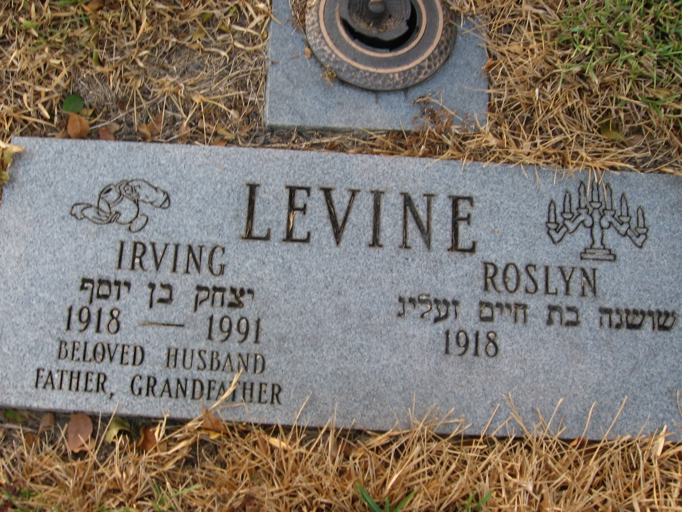 Irving Levine