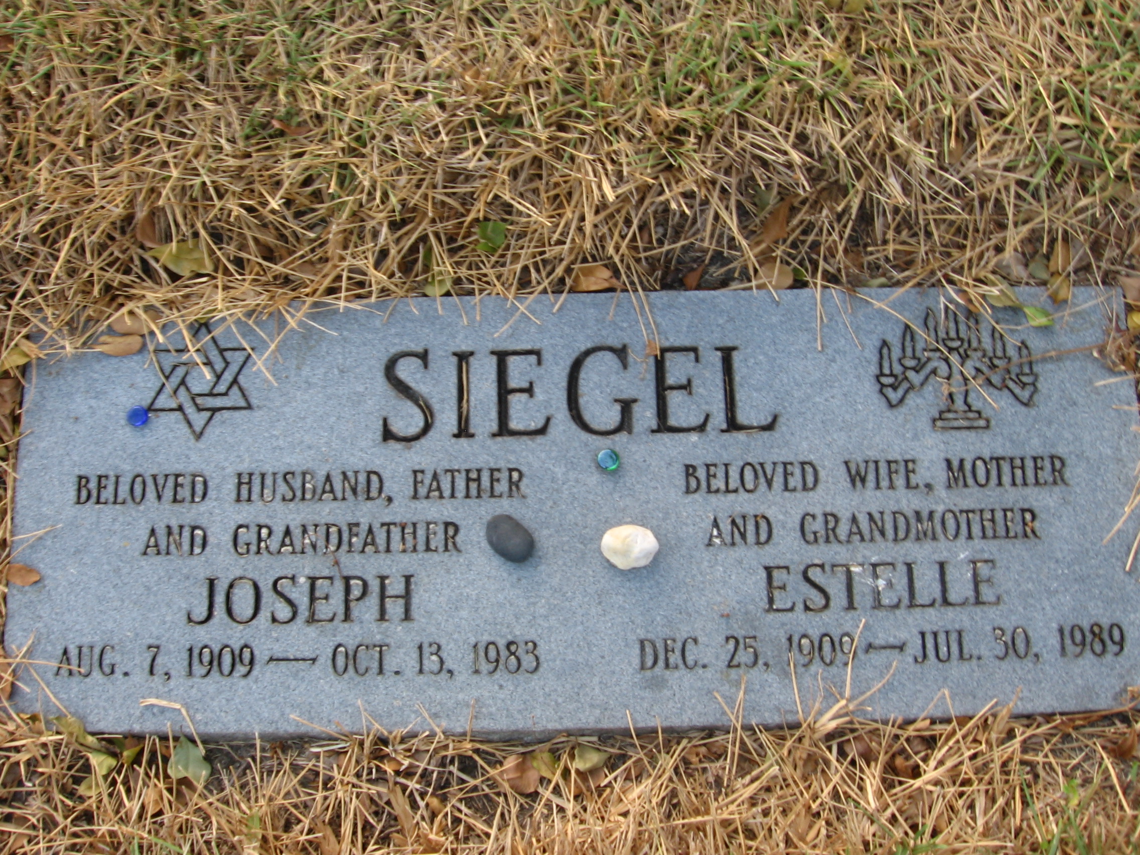 Joseph Siegel