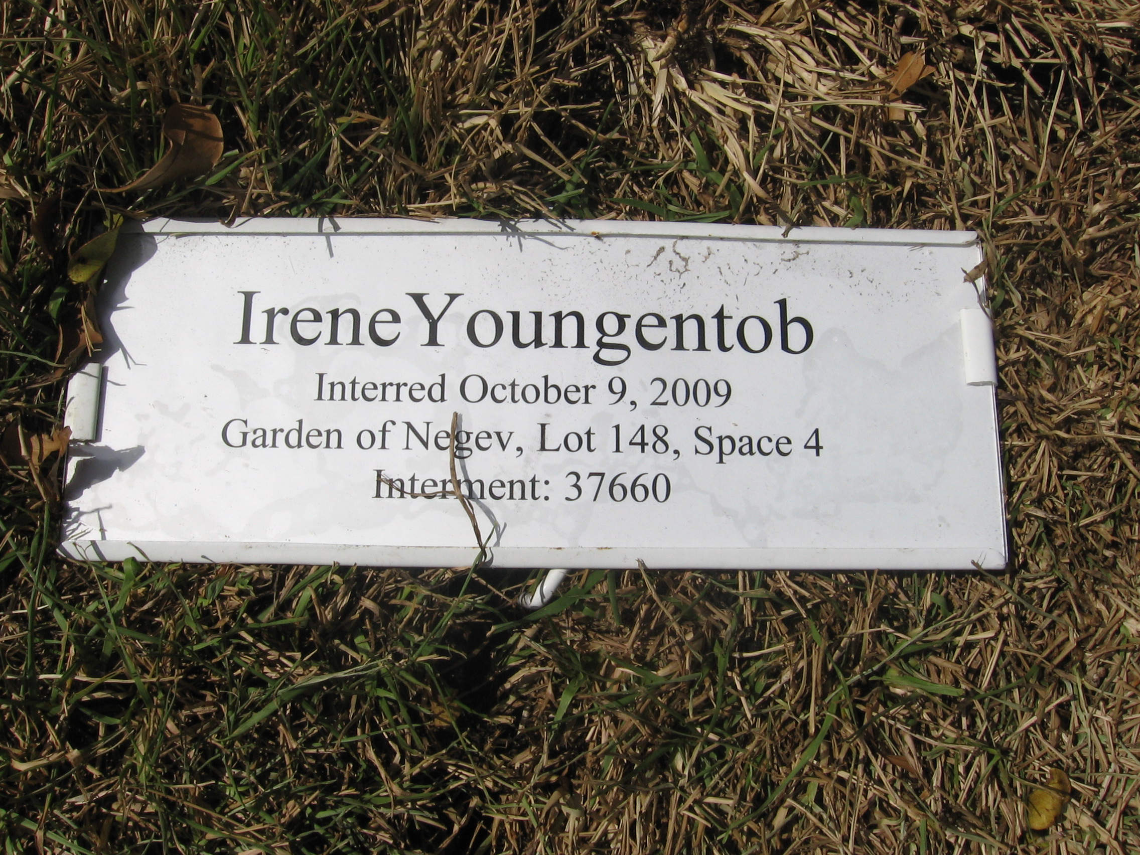 Irene Youngentob