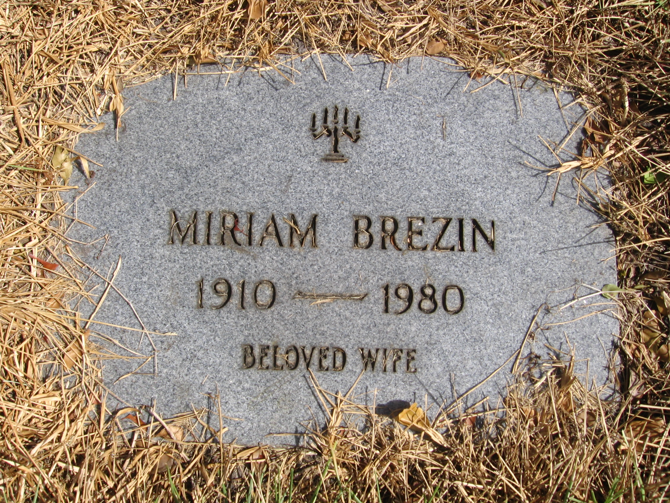 Miriam Brezin