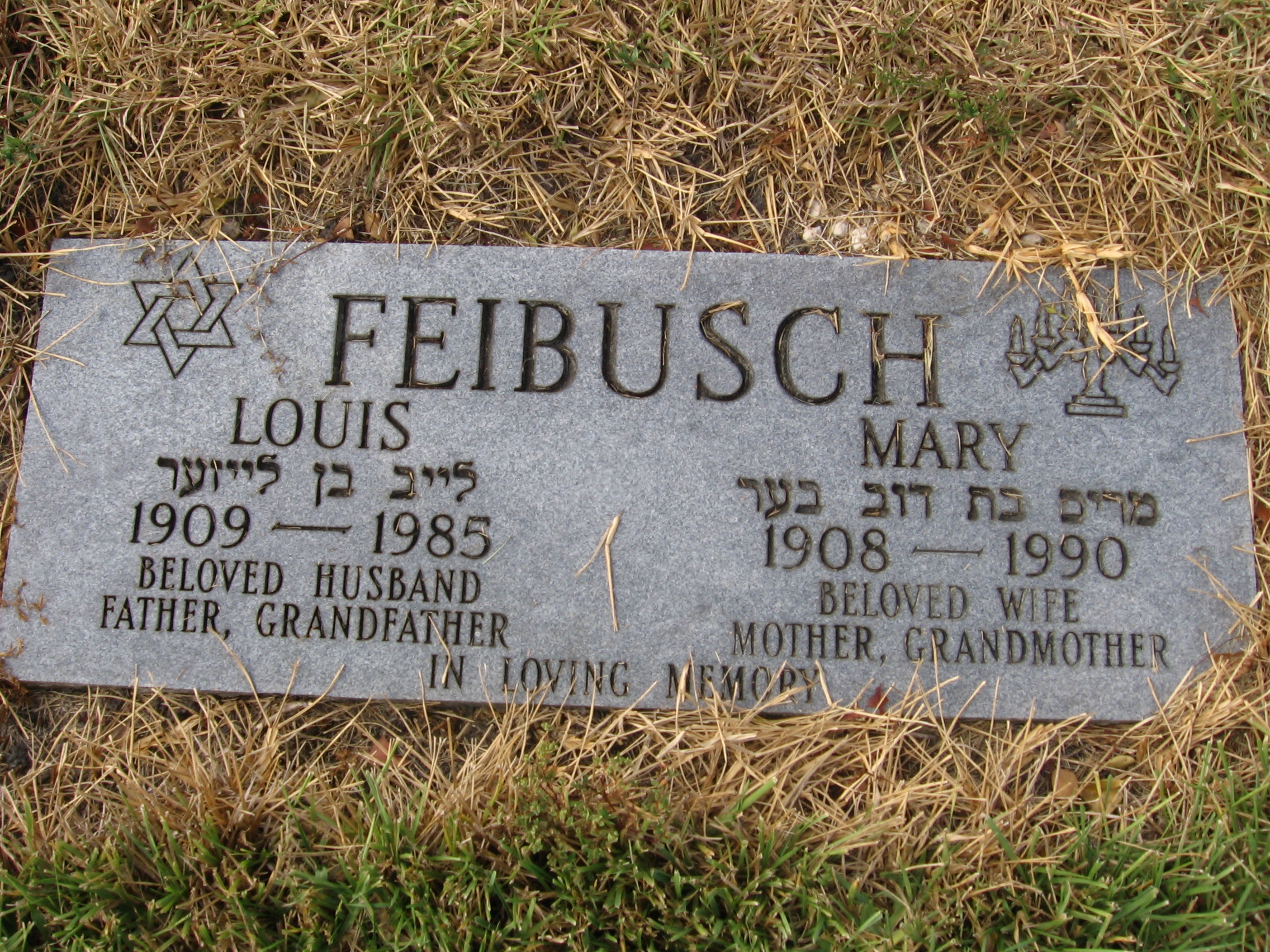 Mary Feibusch
