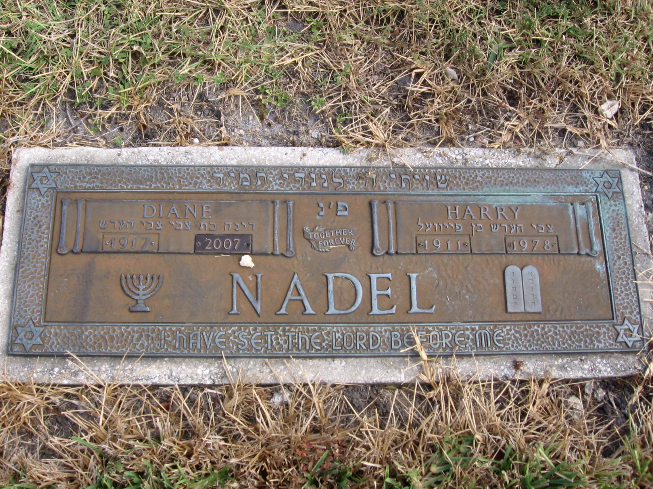 Harry Nadel