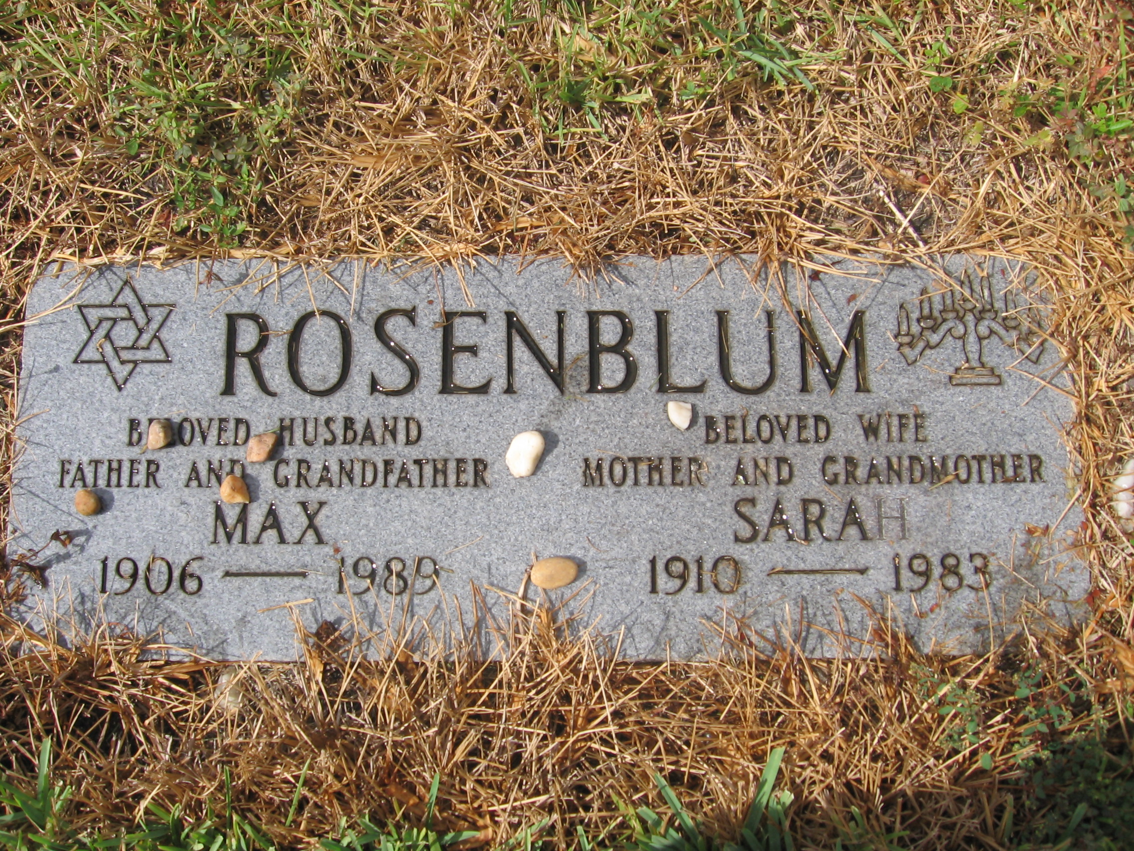 Max Rosenblum