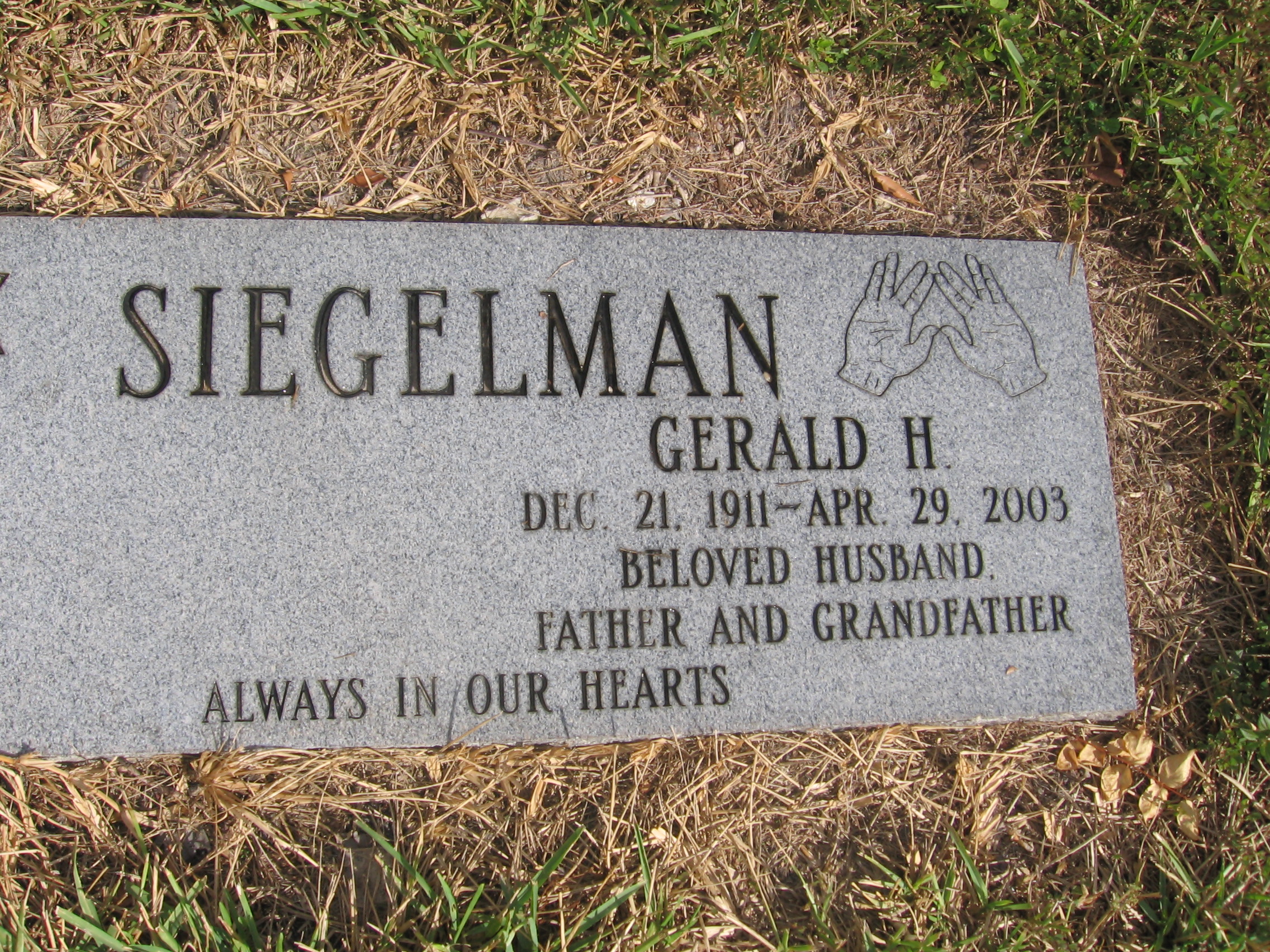Gerald H Siegelman