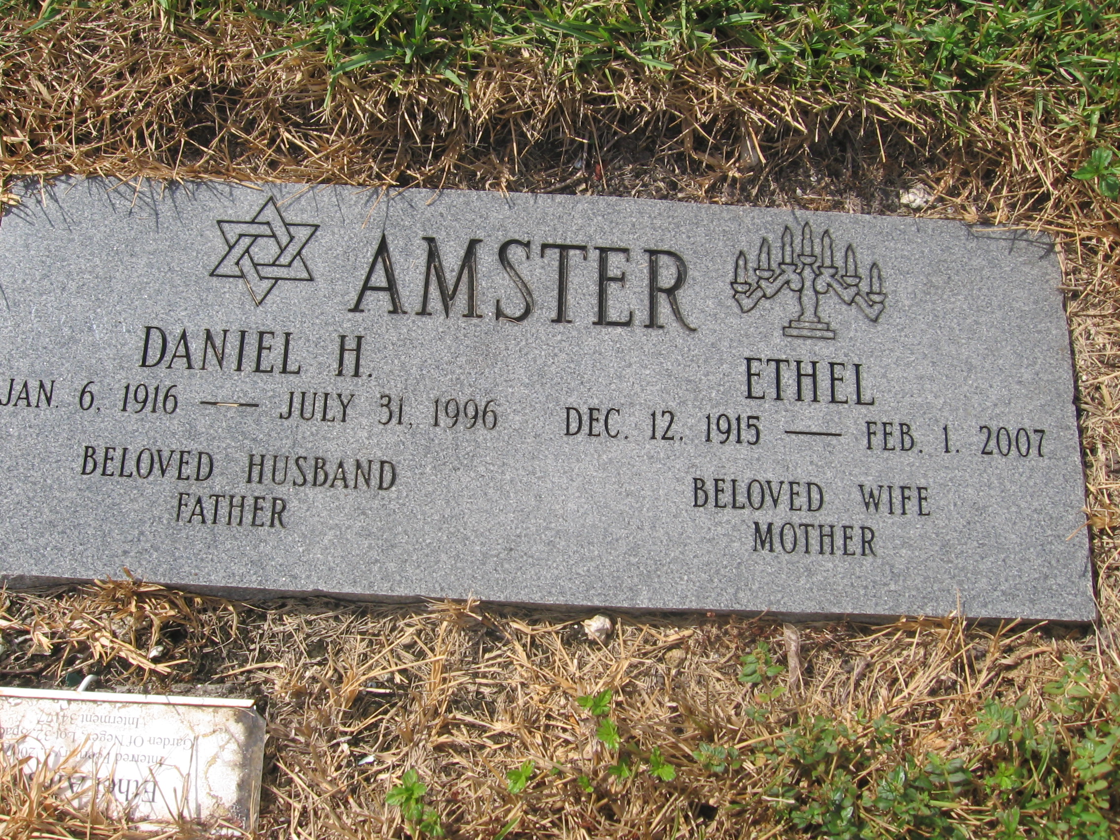 Daniel H Amster