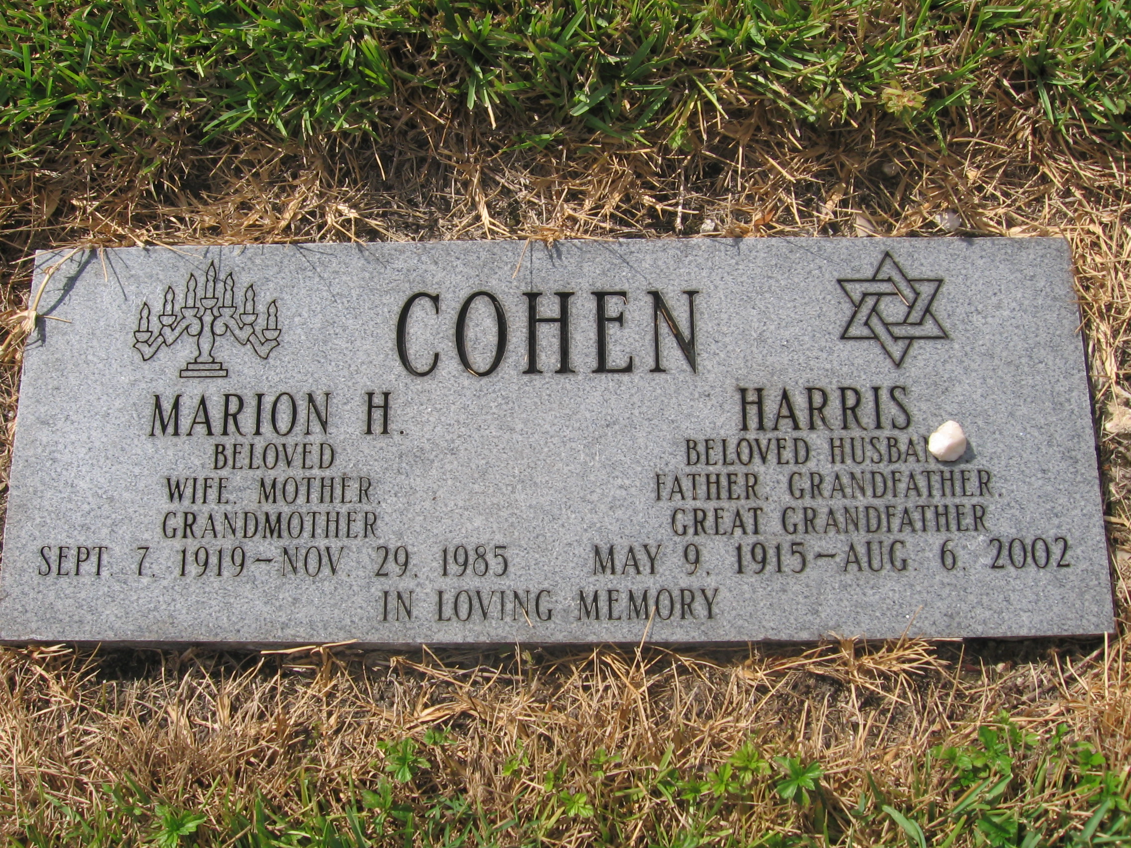 Marion H Cohen