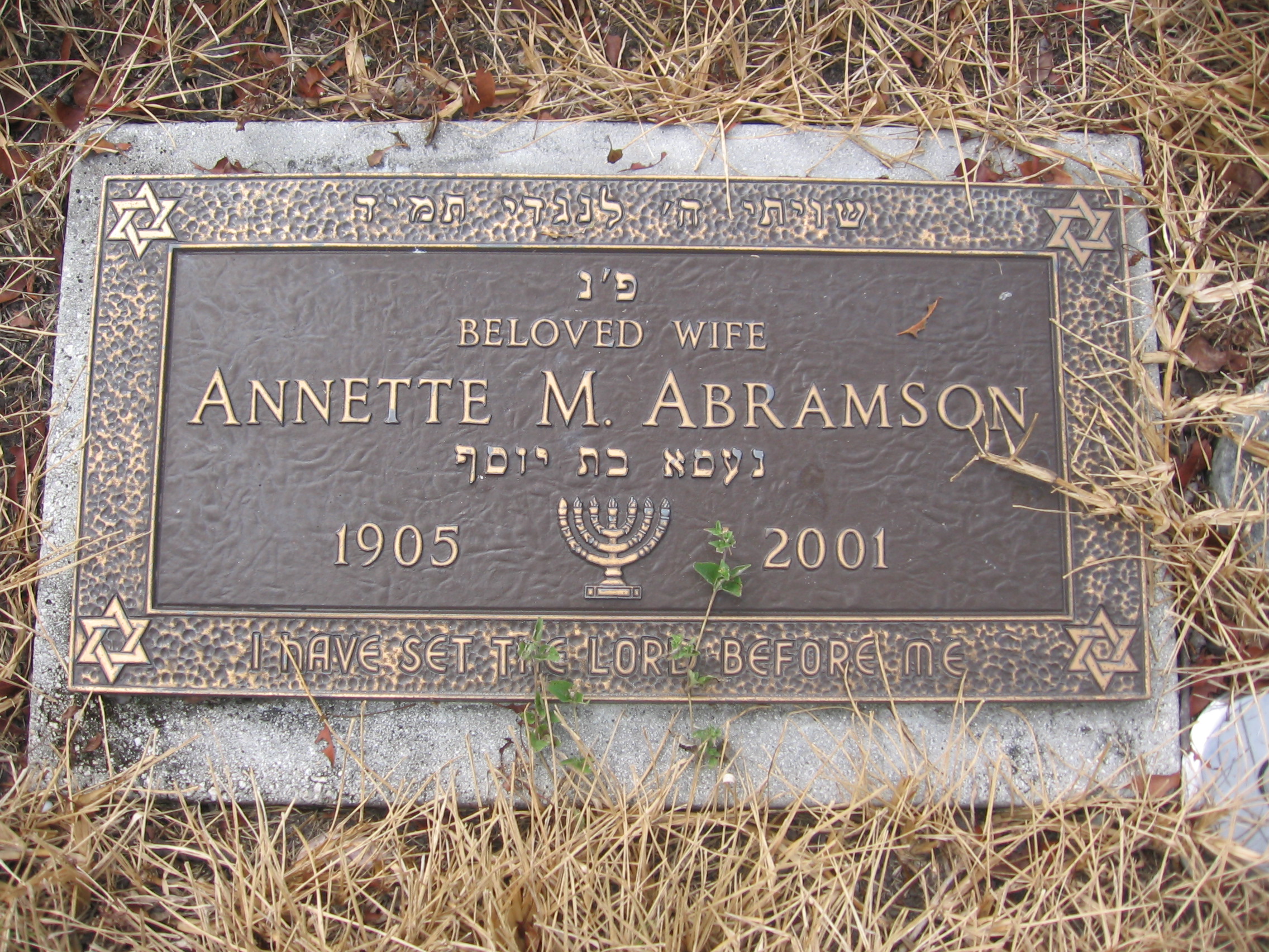 Annette M Abramson