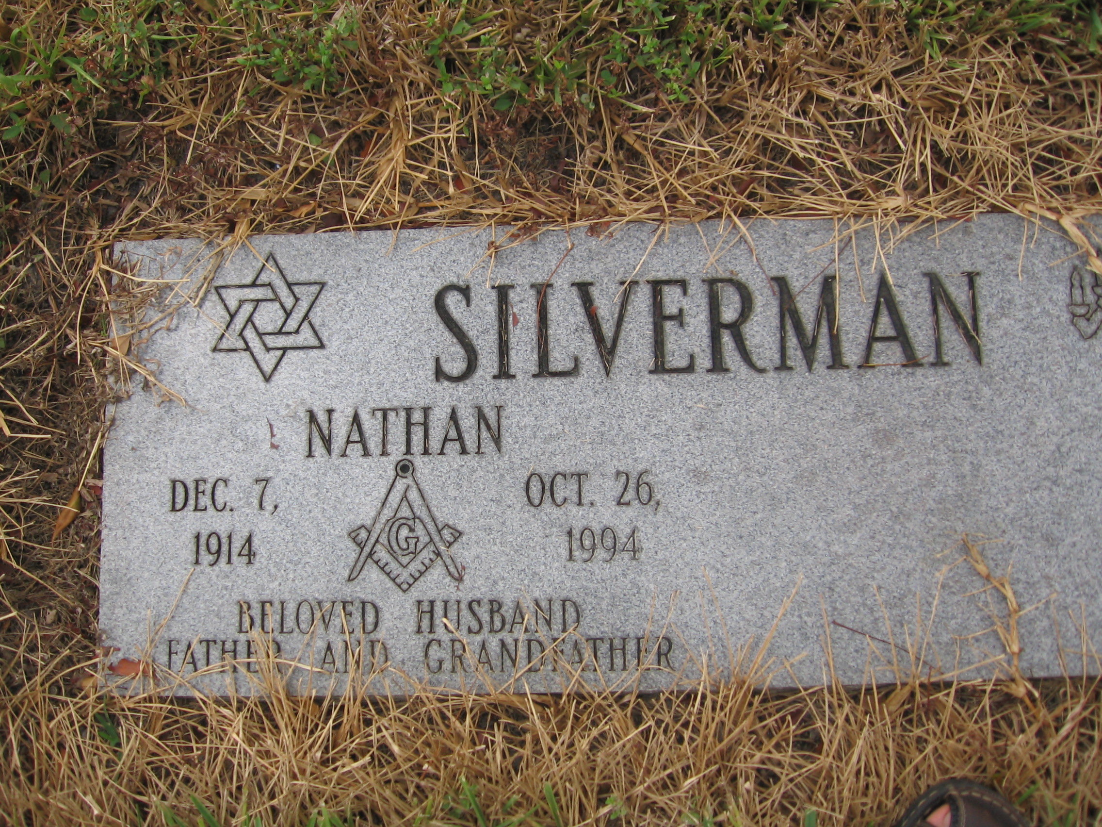 Nathan Silverman