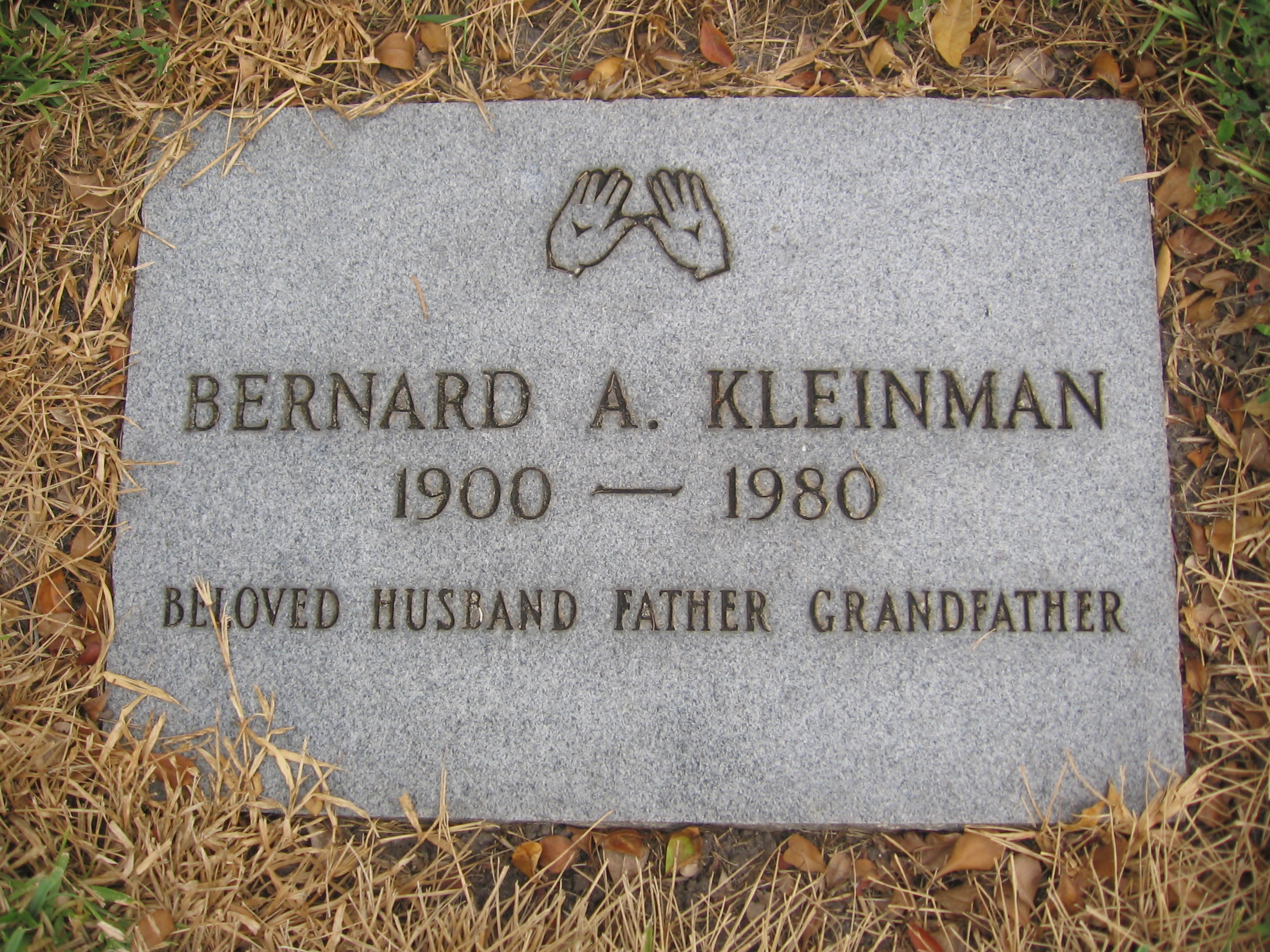 Bernard A Kleinman