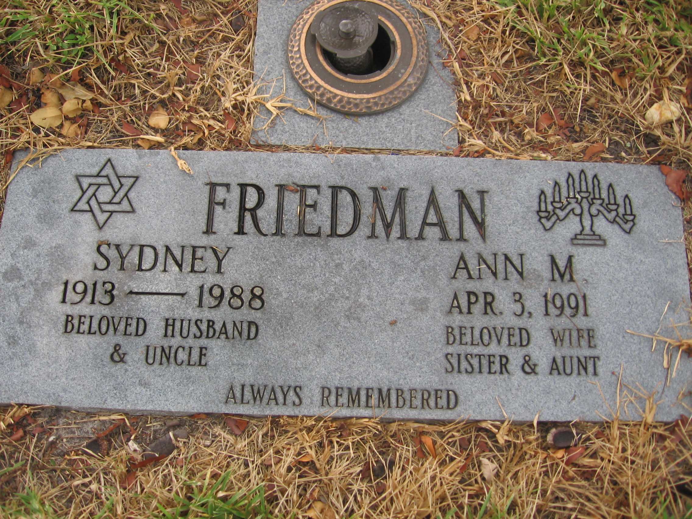 Sydney Friedman