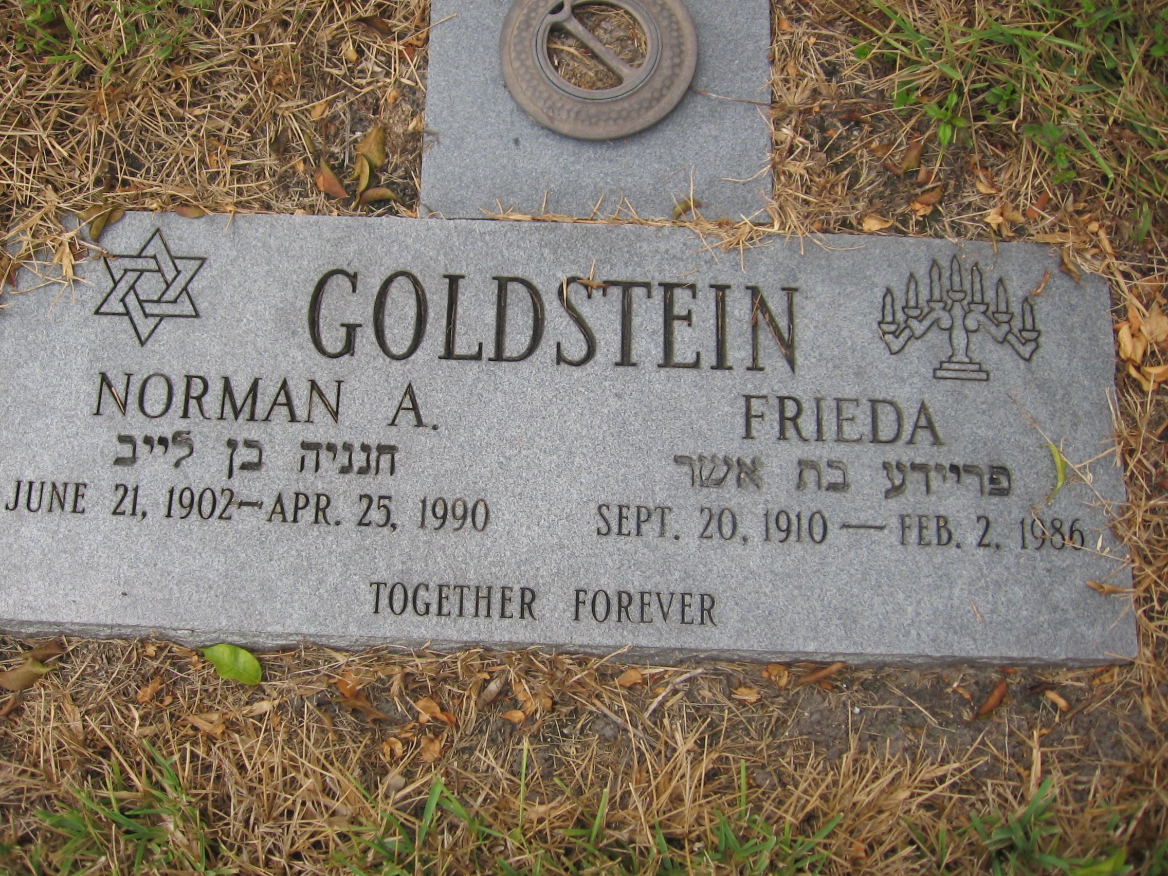 Frieda Goldstein